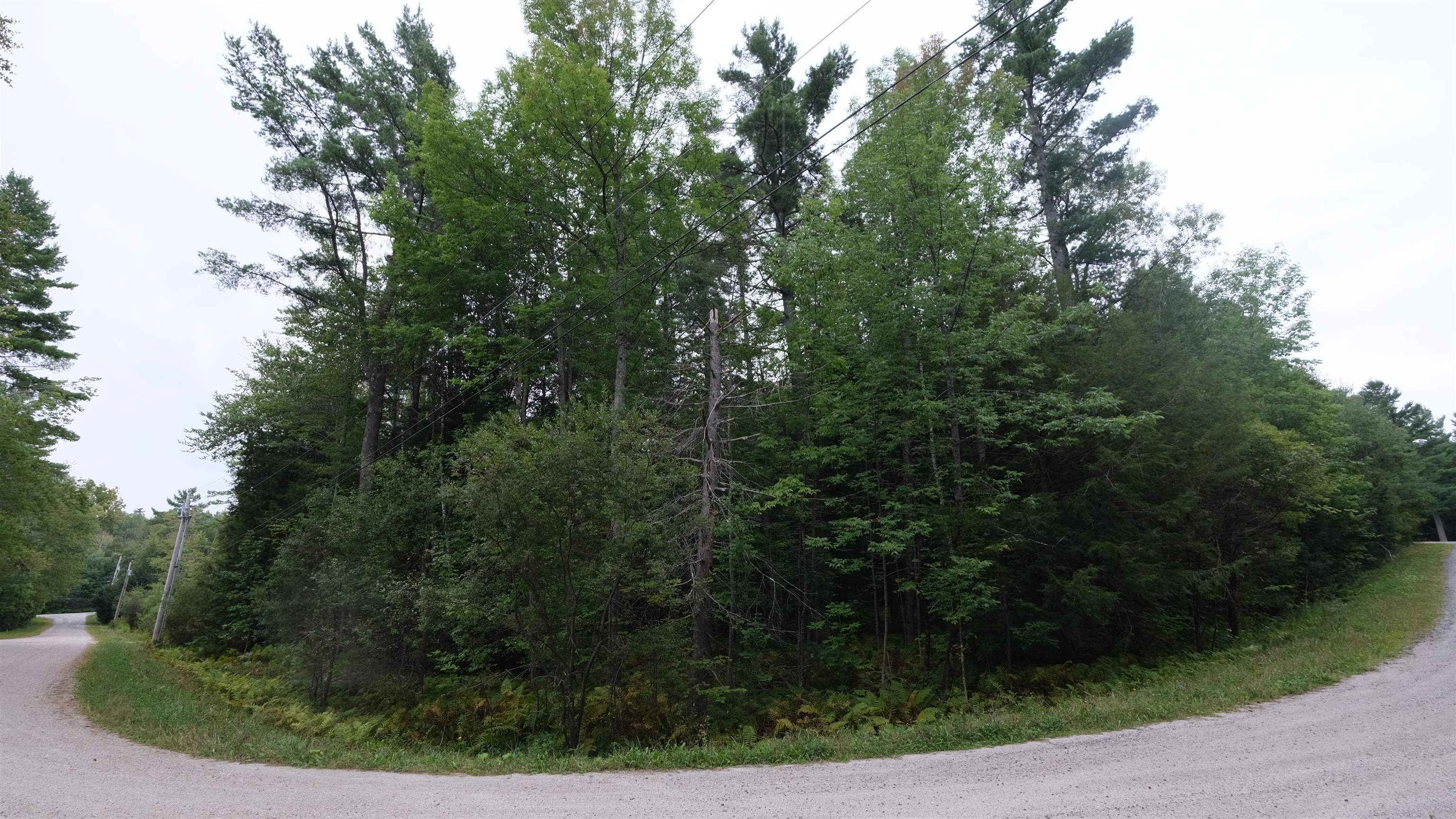 0 Bear Ridge Road Property Photo 4