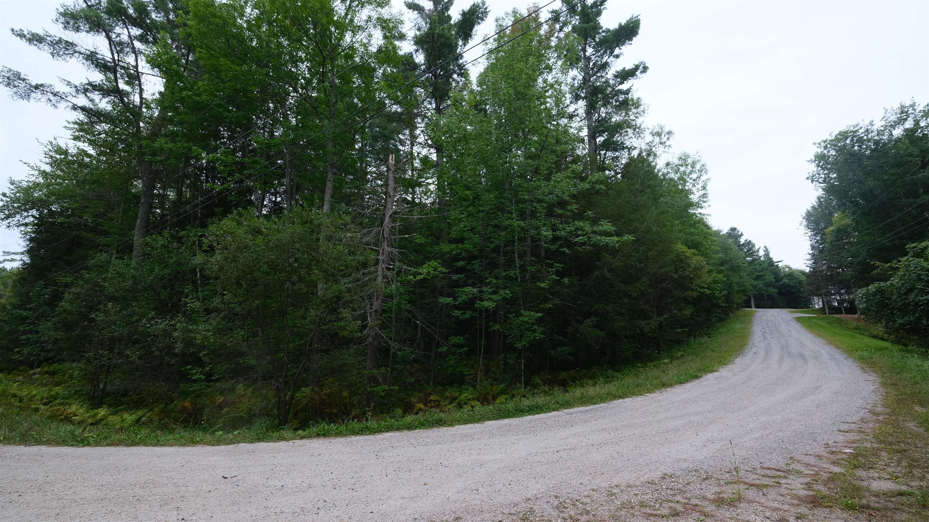 0 Bear Ridge Road Property Photo 5