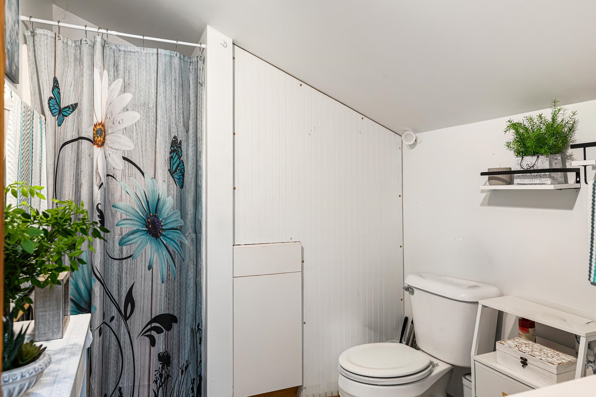 24 Wilder Street Property Photo 23