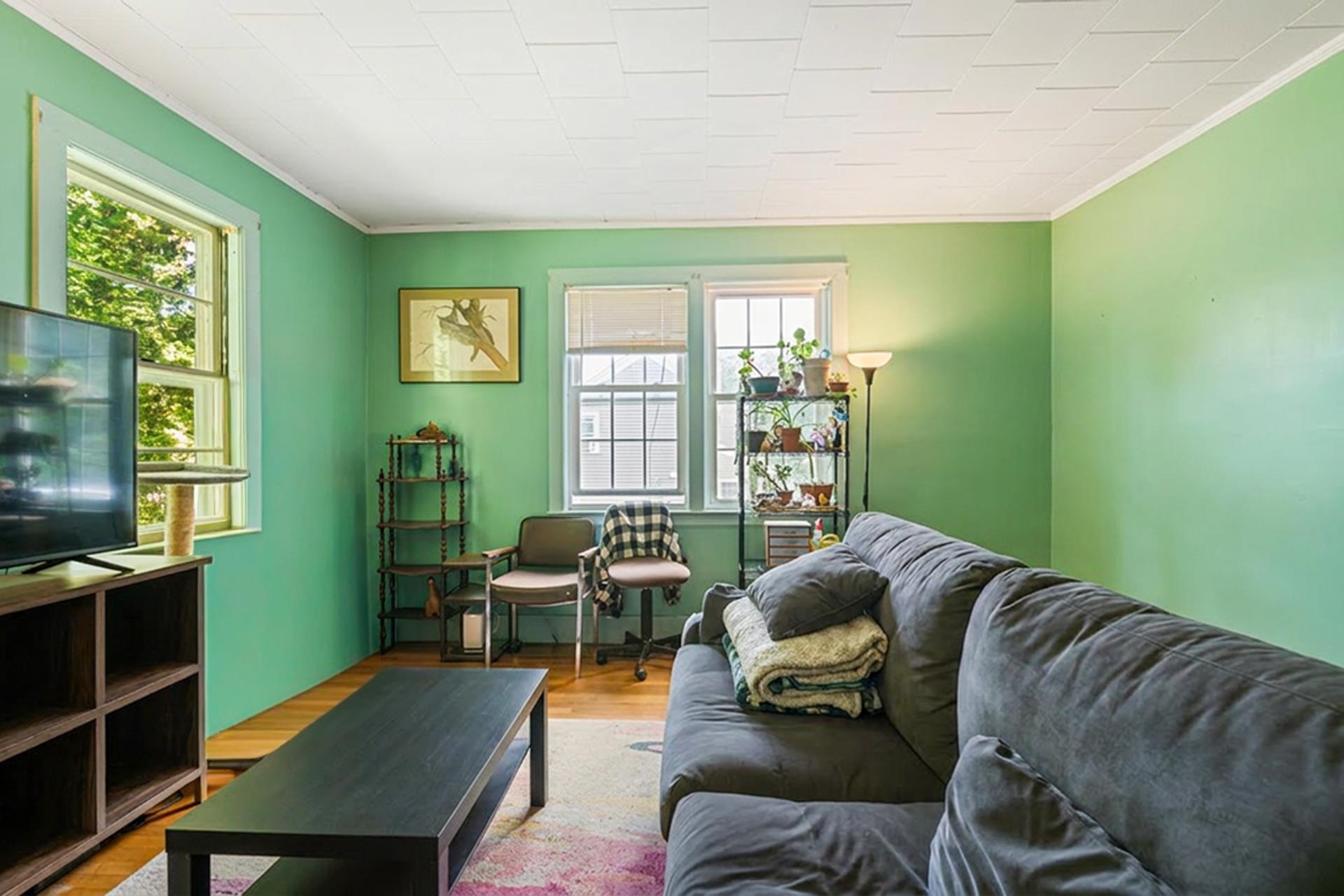 24 Wilder Street Property Photo 38