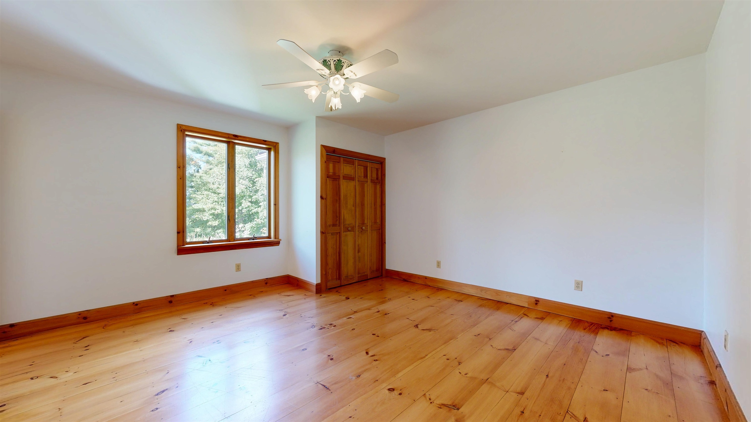 2367 Hollow Road Property Photo 18