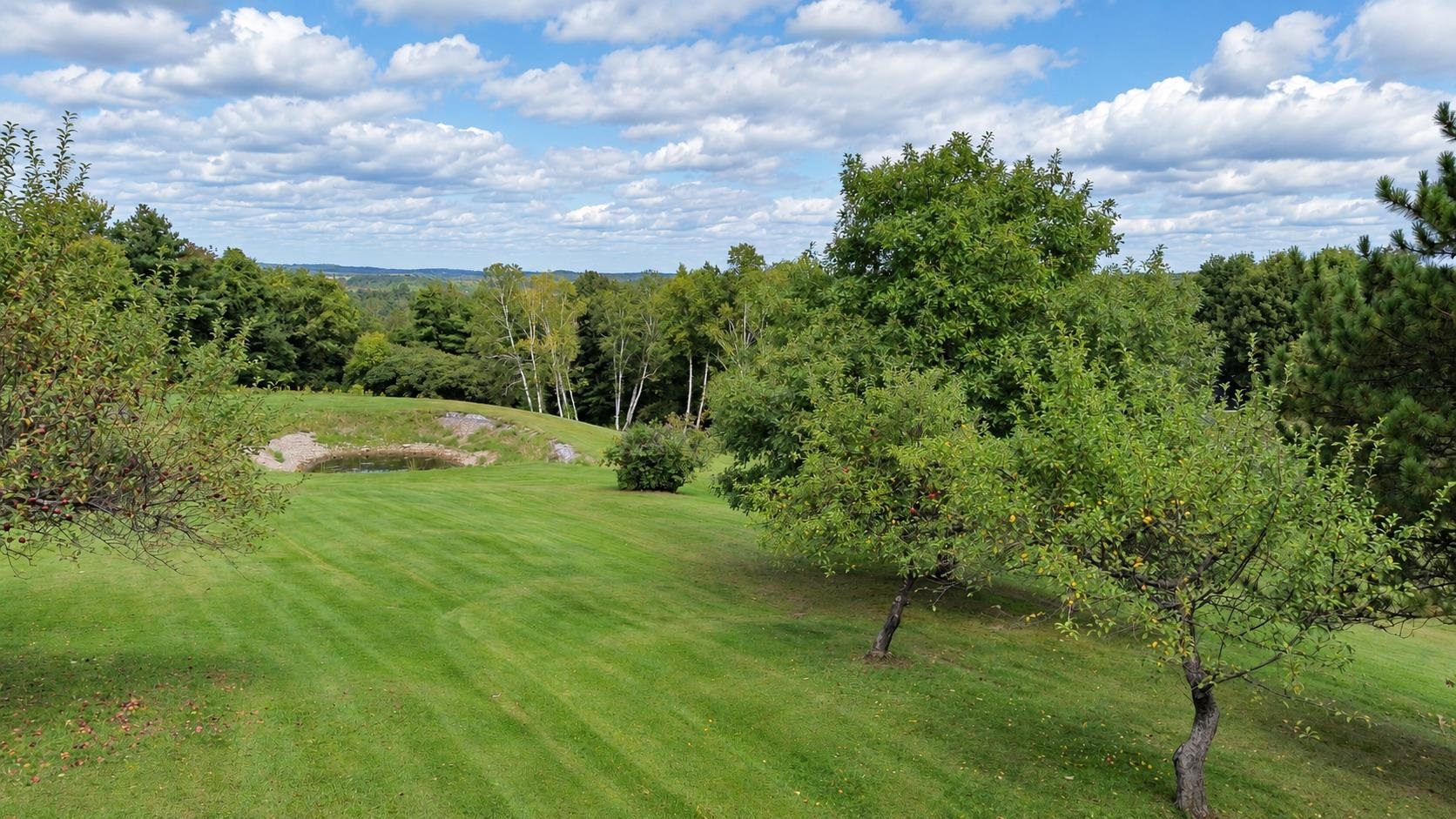 2367 Hollow Road Property Photo 33