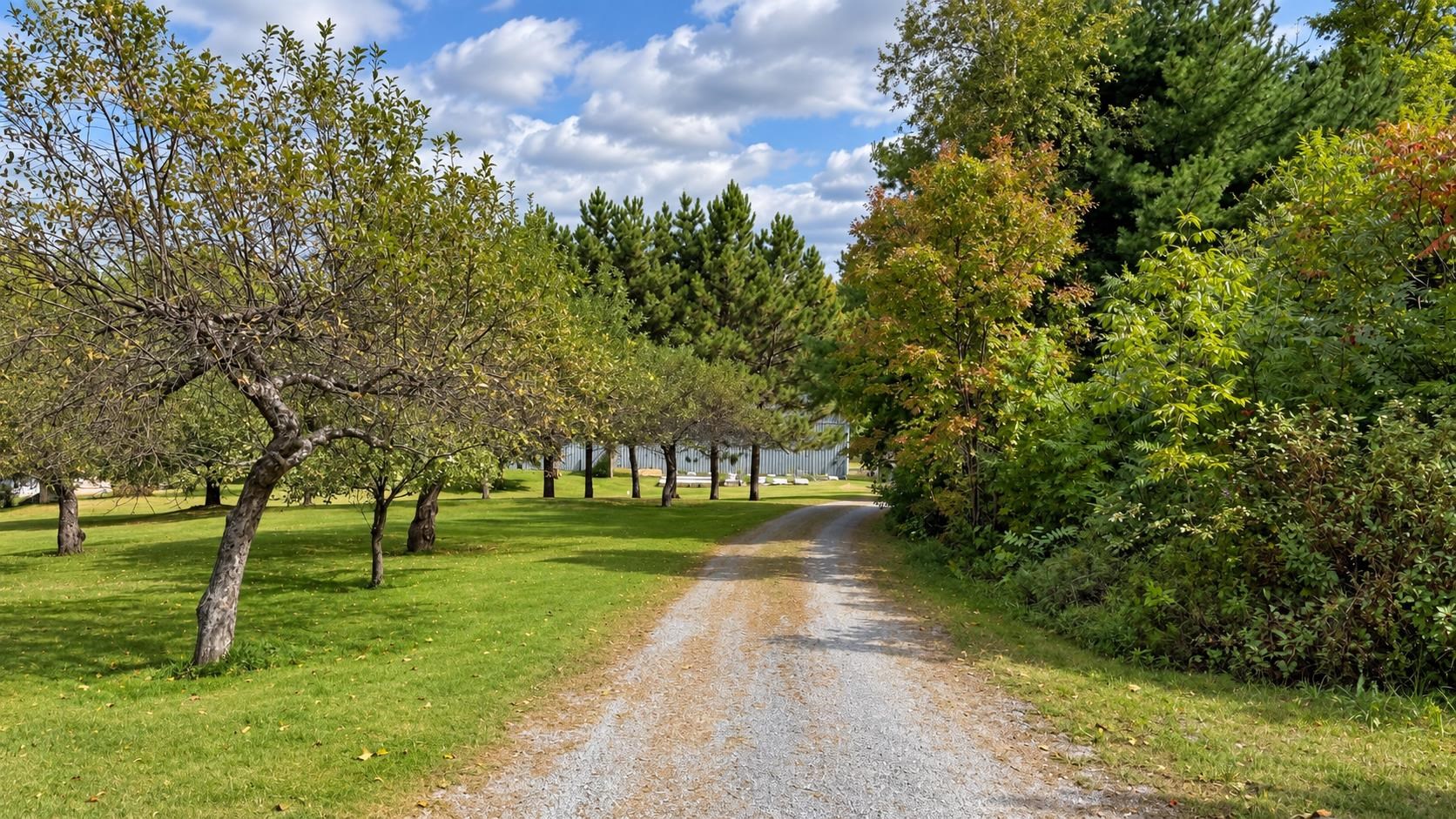 2367 Hollow Road Property Photo 35
