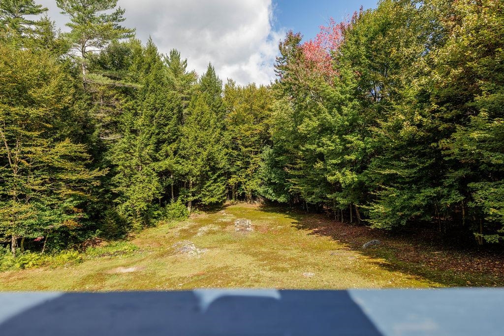 55 Boys Camp Road Property Photo 29