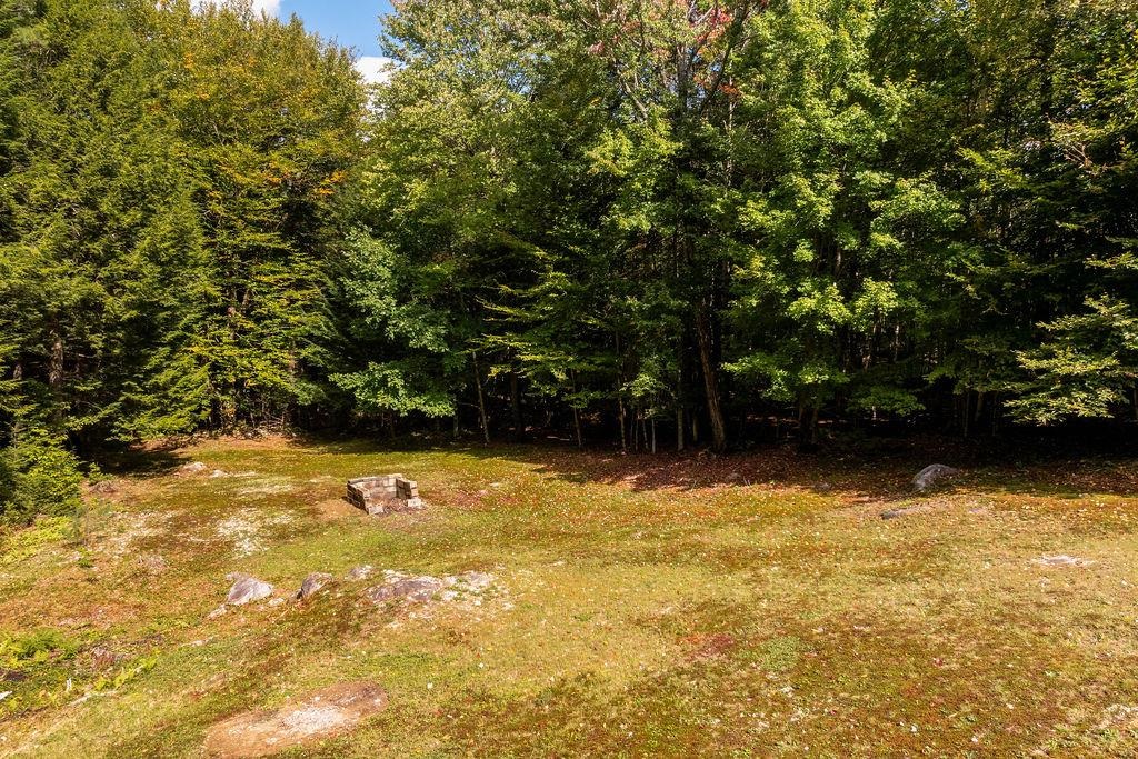 55 Boys Camp Road Property Photo 33
