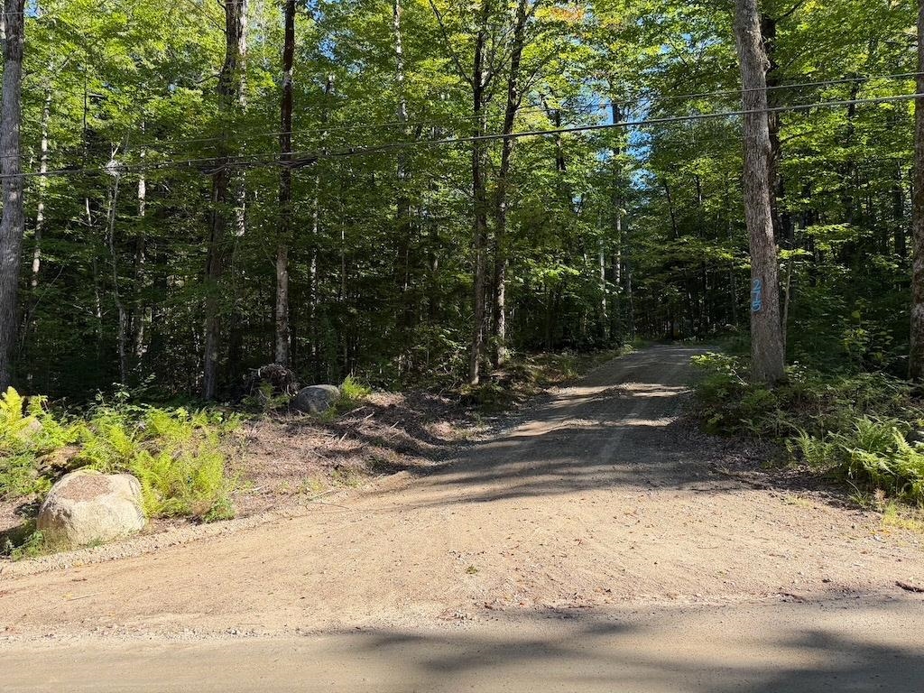 275 Ossipee Mountain Road Property Photo 21