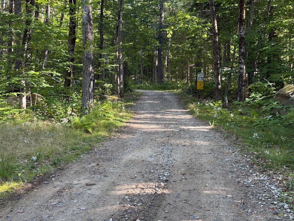 275 Ossipee Mountain Road Property Photo 22