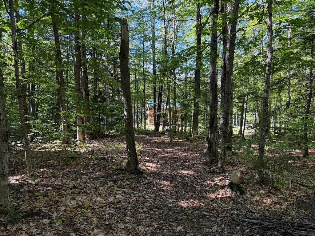 275 Ossipee Mountain Road Property Photo 26