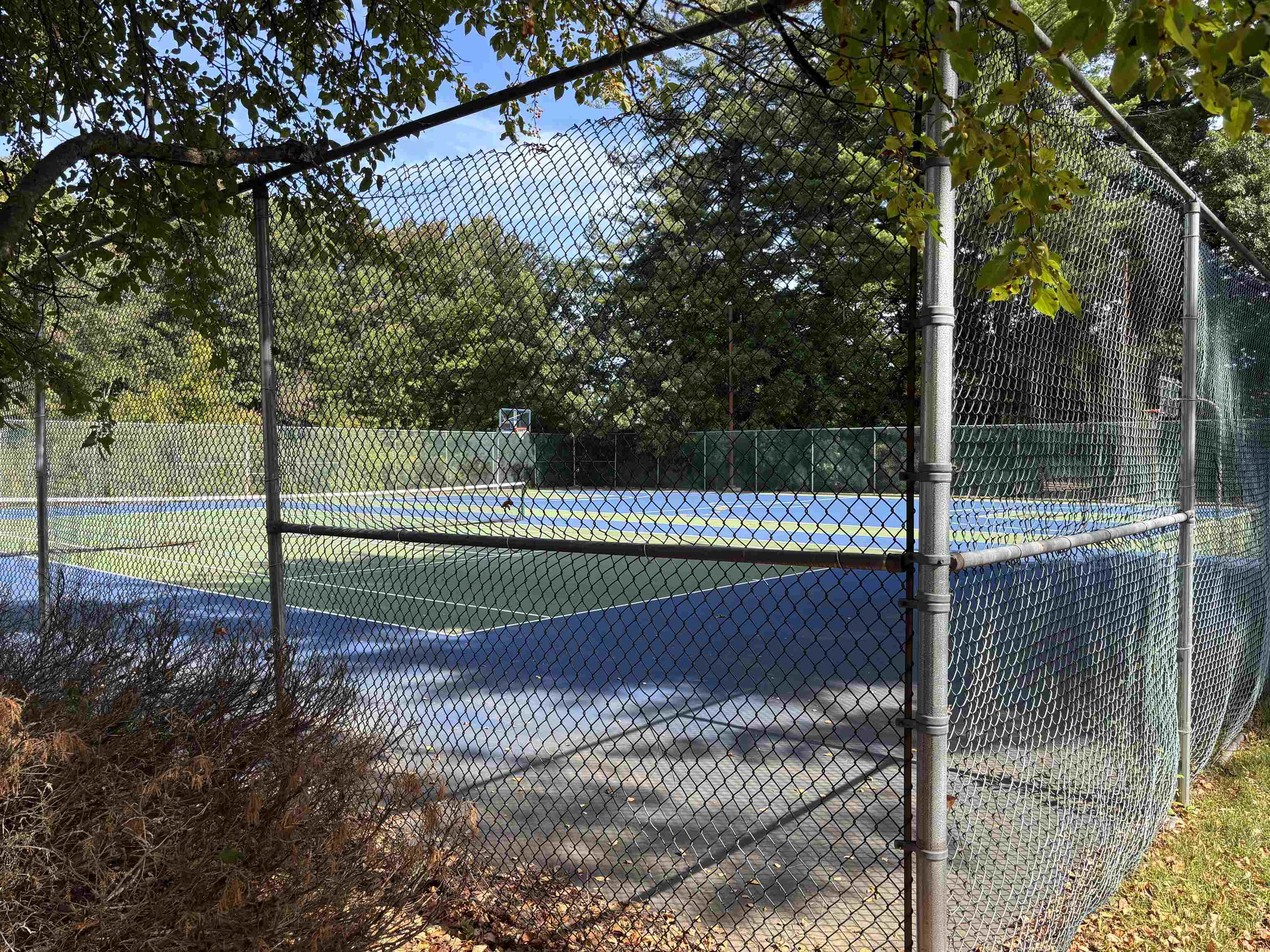3 Bartemus Trail Property Photo 22