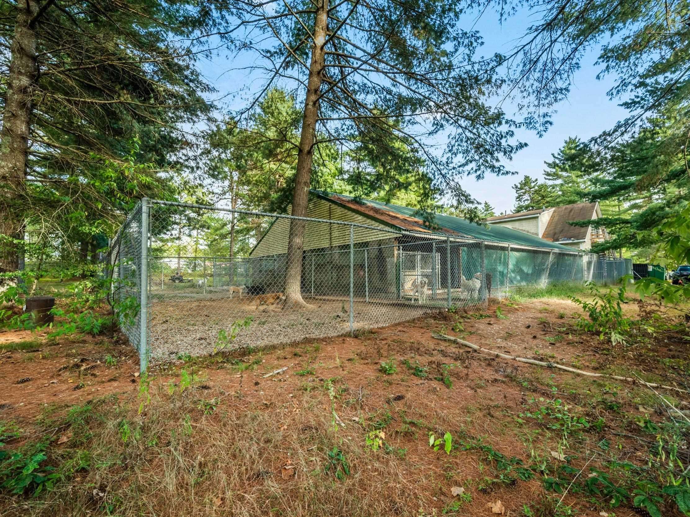 101 Ossipee Lake Road Property Photo 23