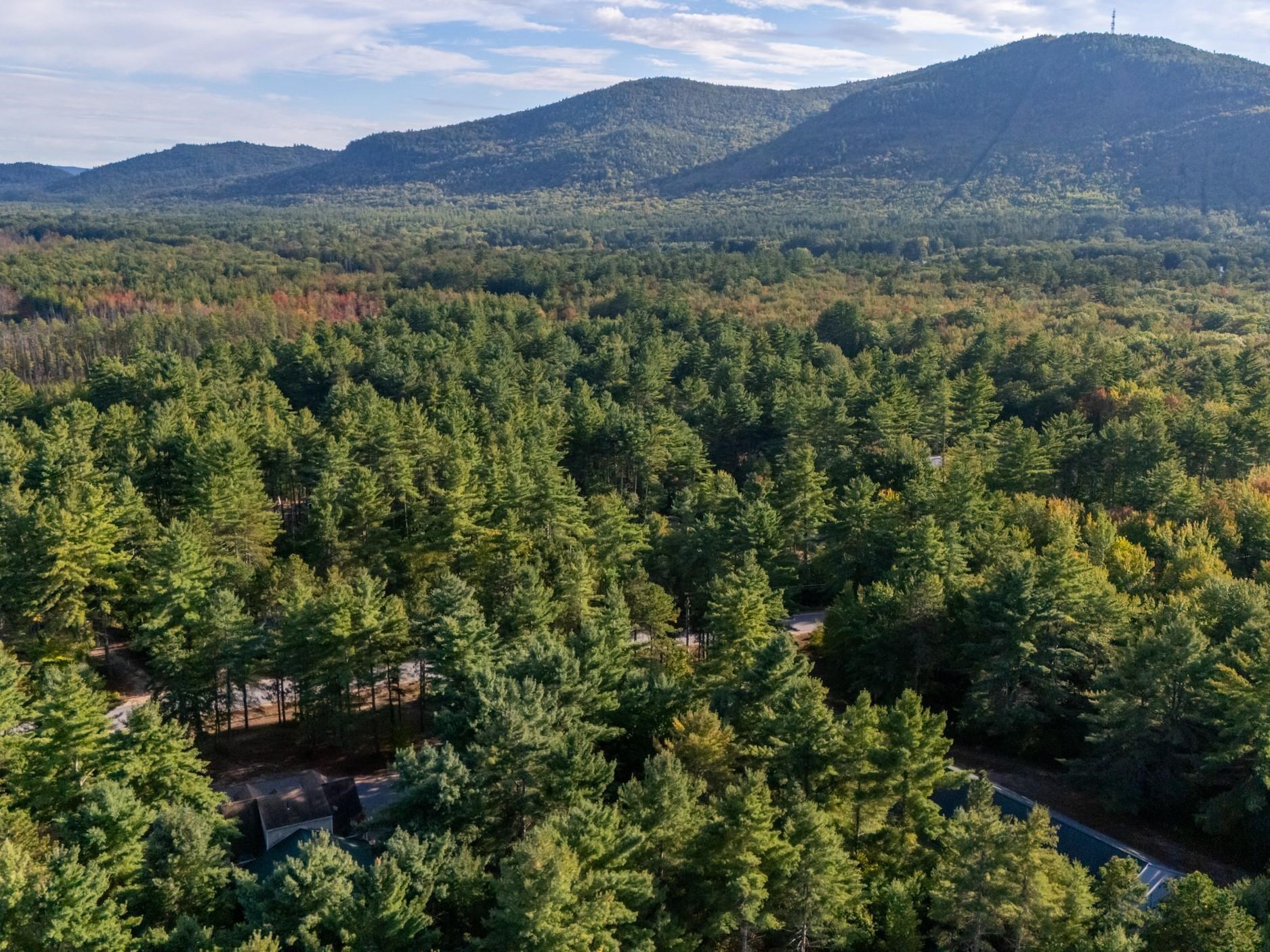 101 Ossipee Lake Road Property Photo 30