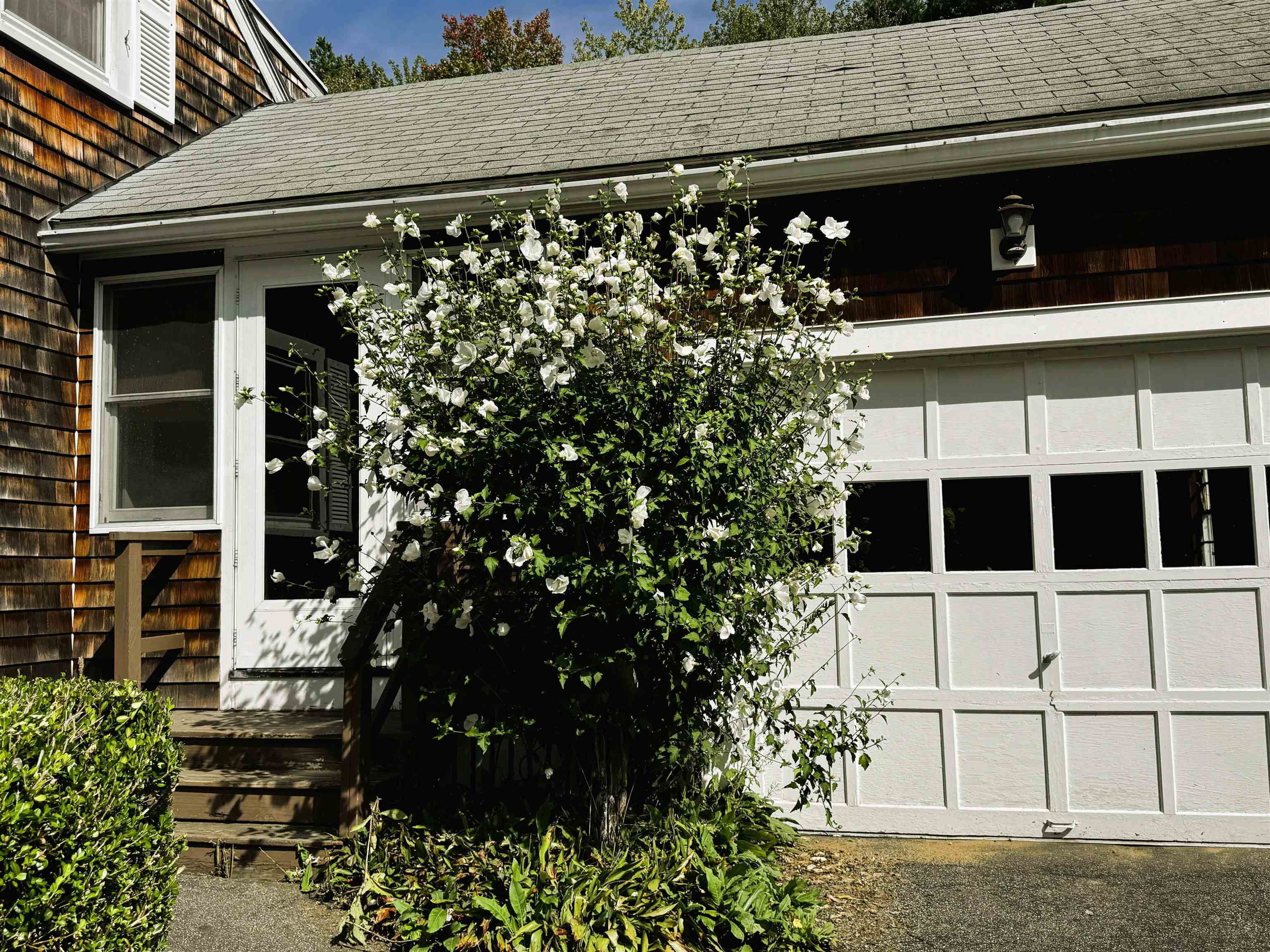 10 Whittier Street Property Photo 2