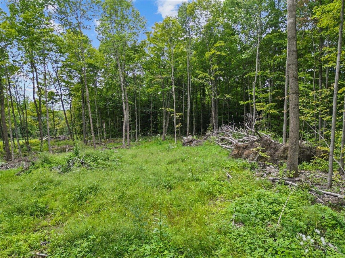 85 Mossey Road Property Photo 10