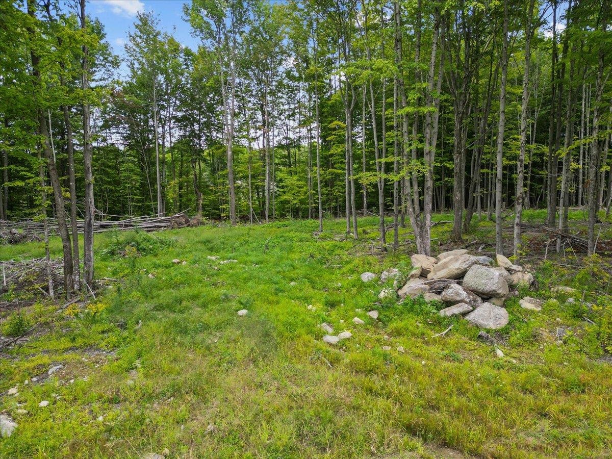 85 Mossey Road Property Photo 14