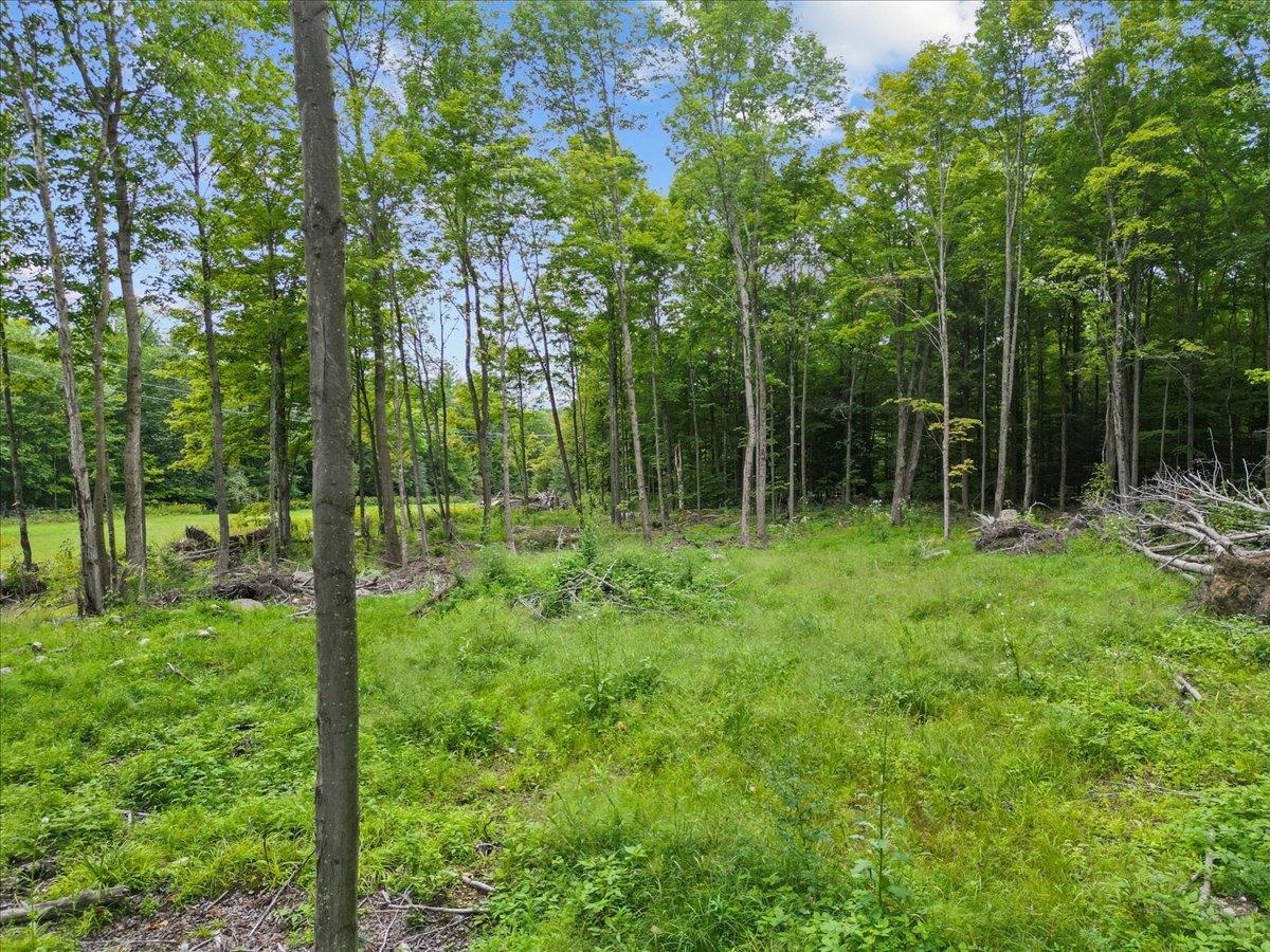 85 Mossey Road Property Photo 15