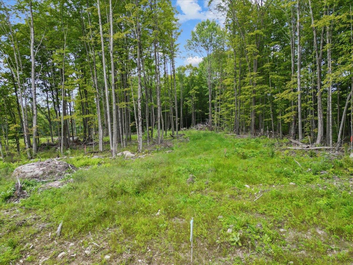 85 Mossey Road Property Photo 16