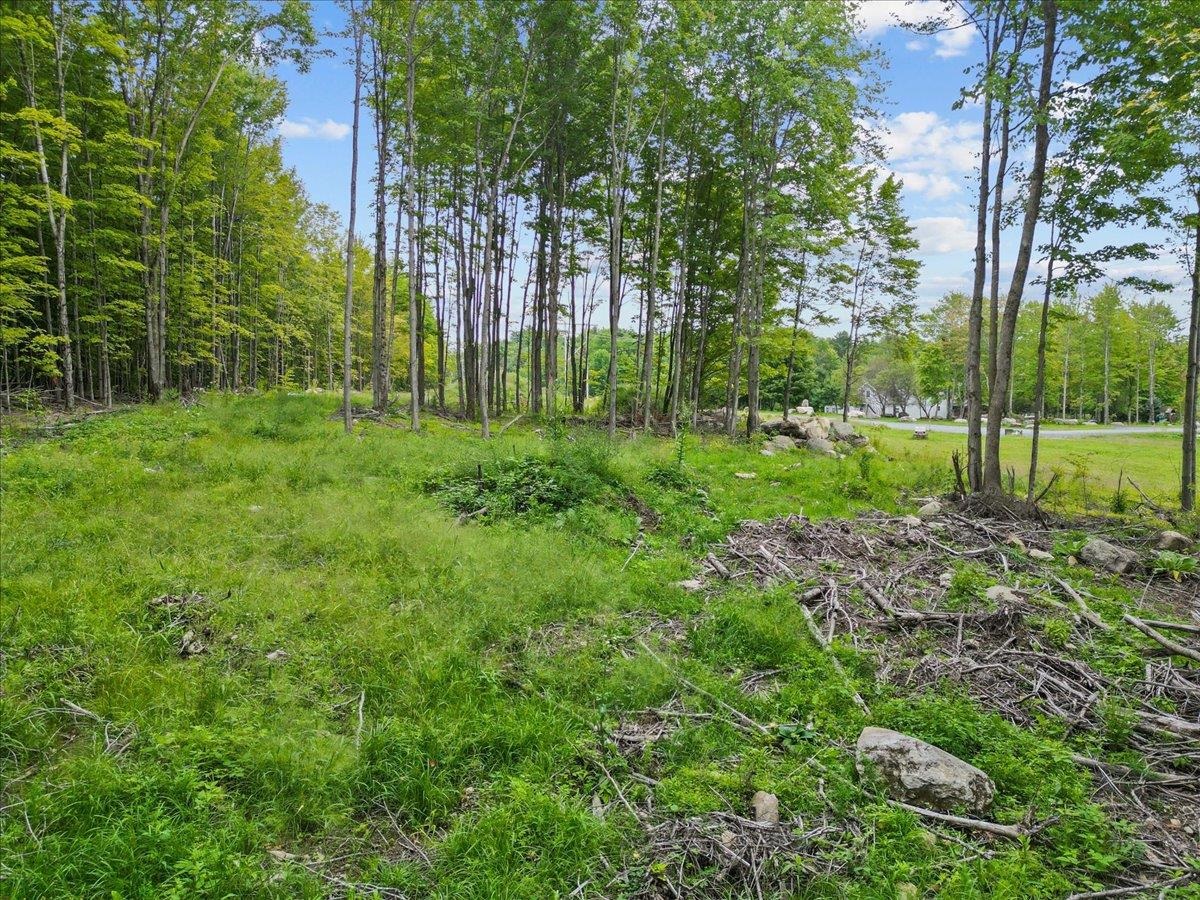 85 Mossey Road Property Photo 17