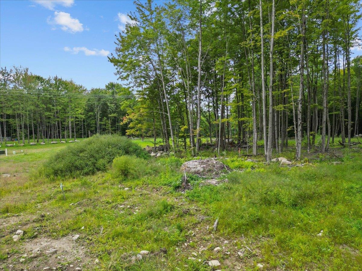 85 Mossey Road Property Photo 21