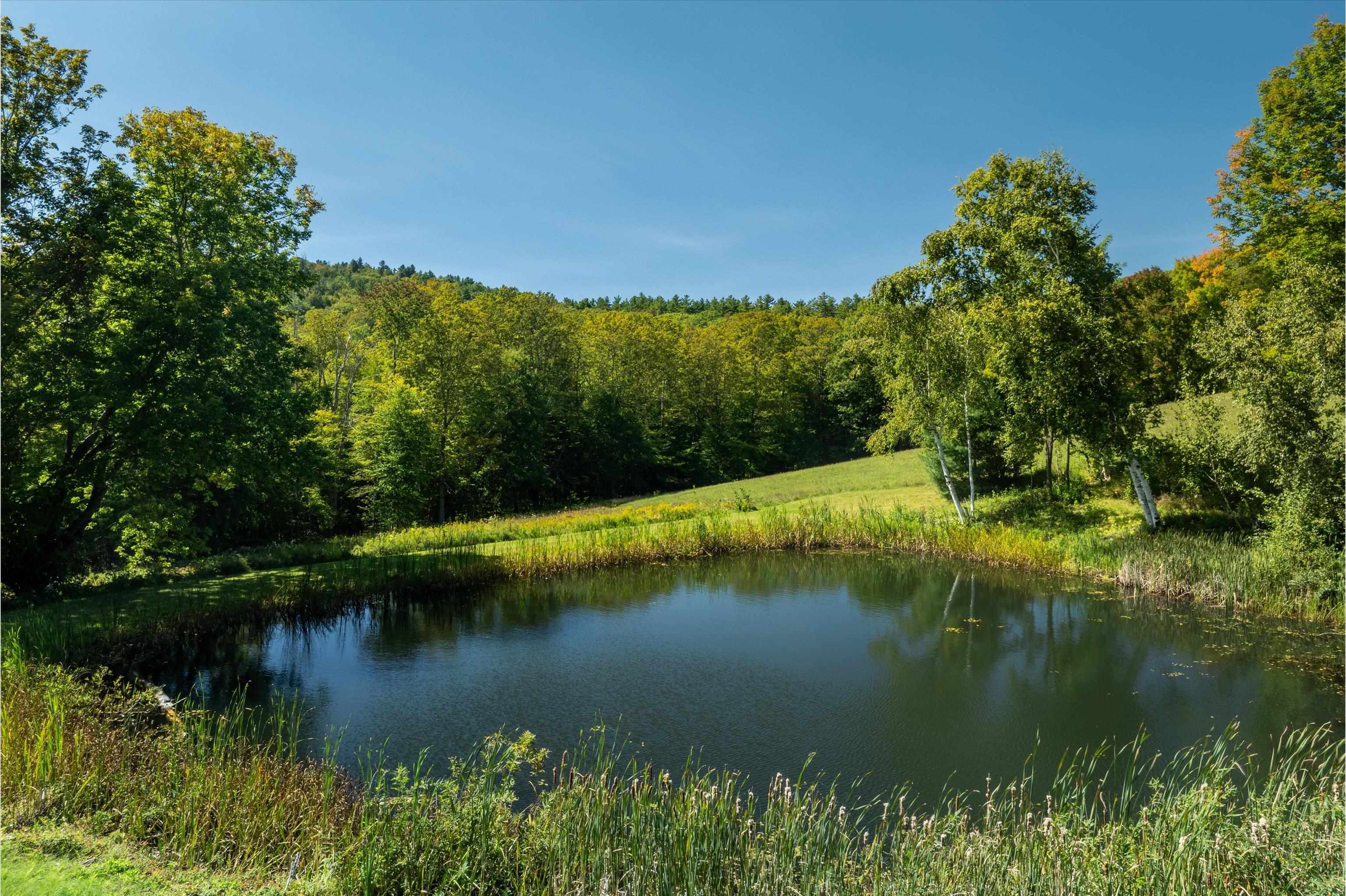 888 Skyline Drive Property Photo 3