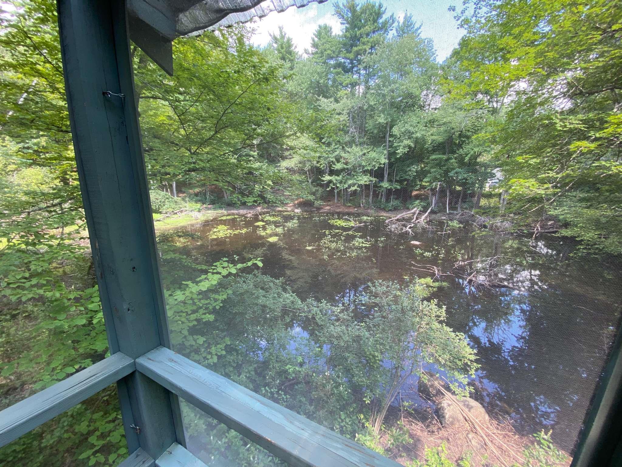 126 Hall Road Property Photo 5