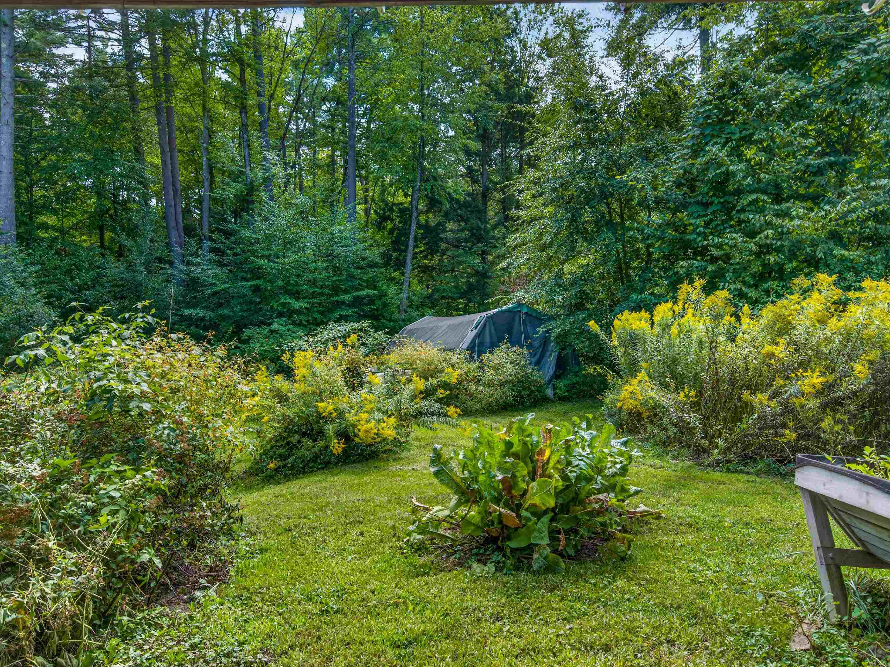 256 Trail Road Property Photo 39