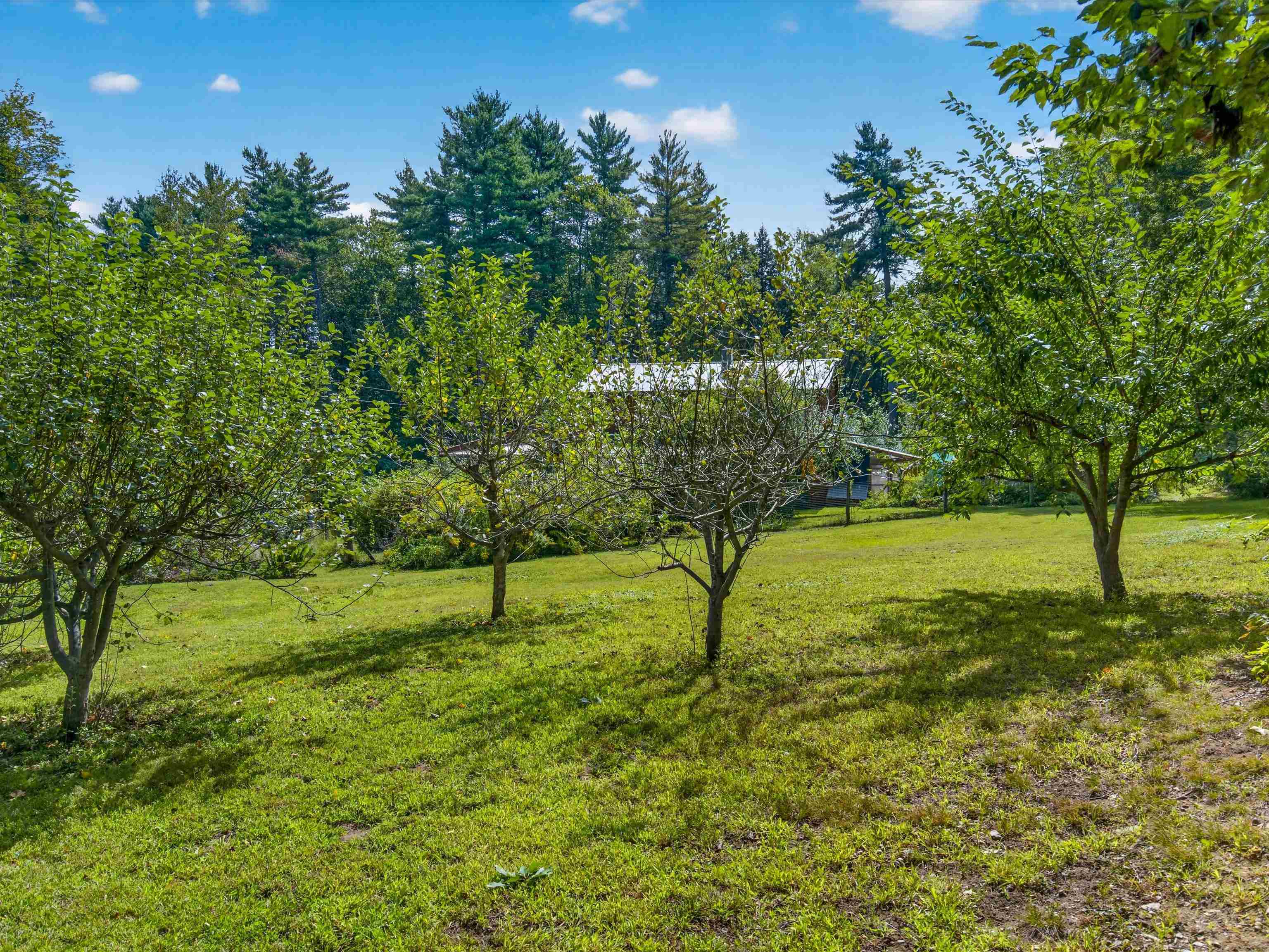 256 Trail Road Property Photo 40