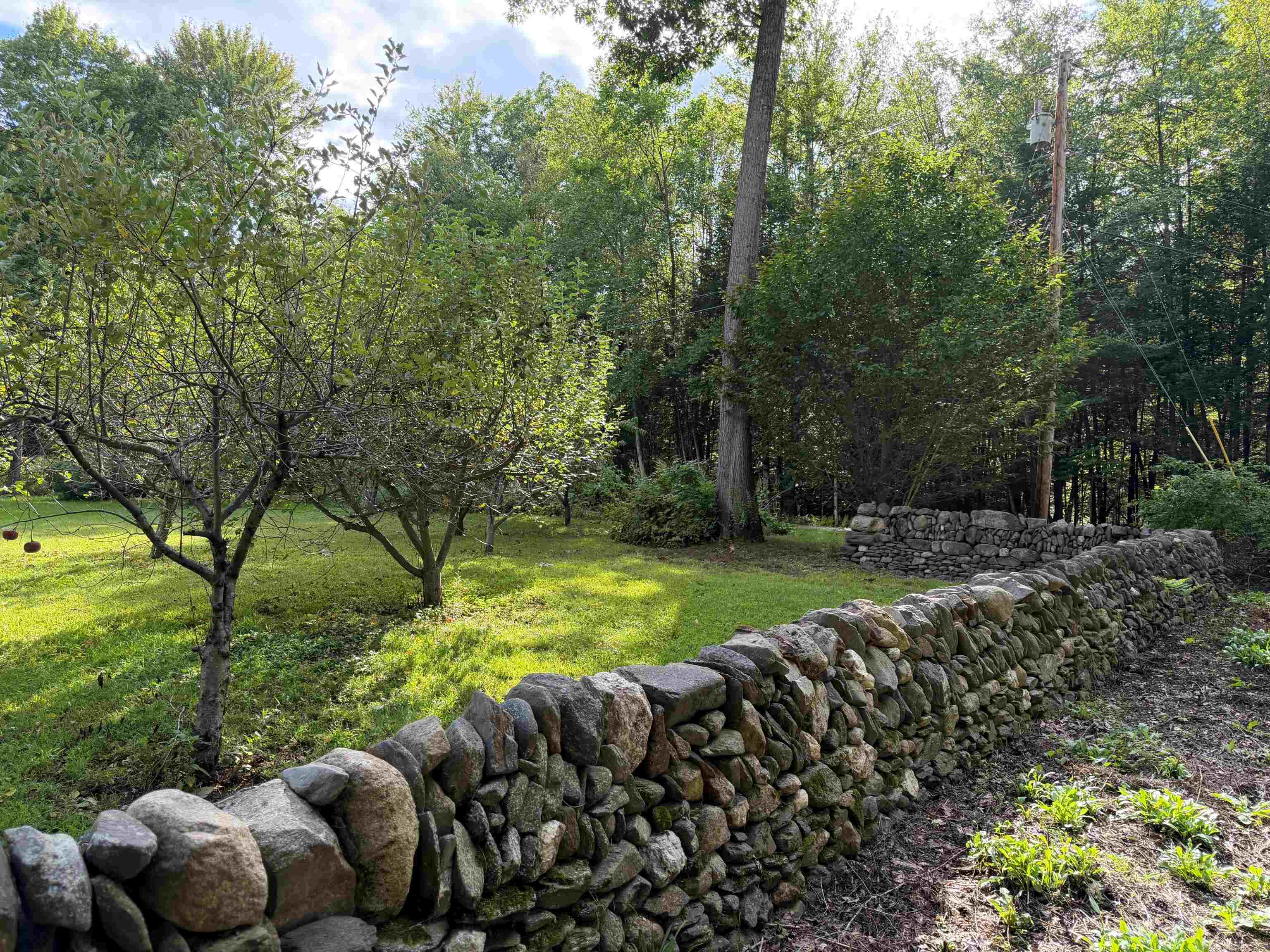 256 Trail Road Property Photo 52