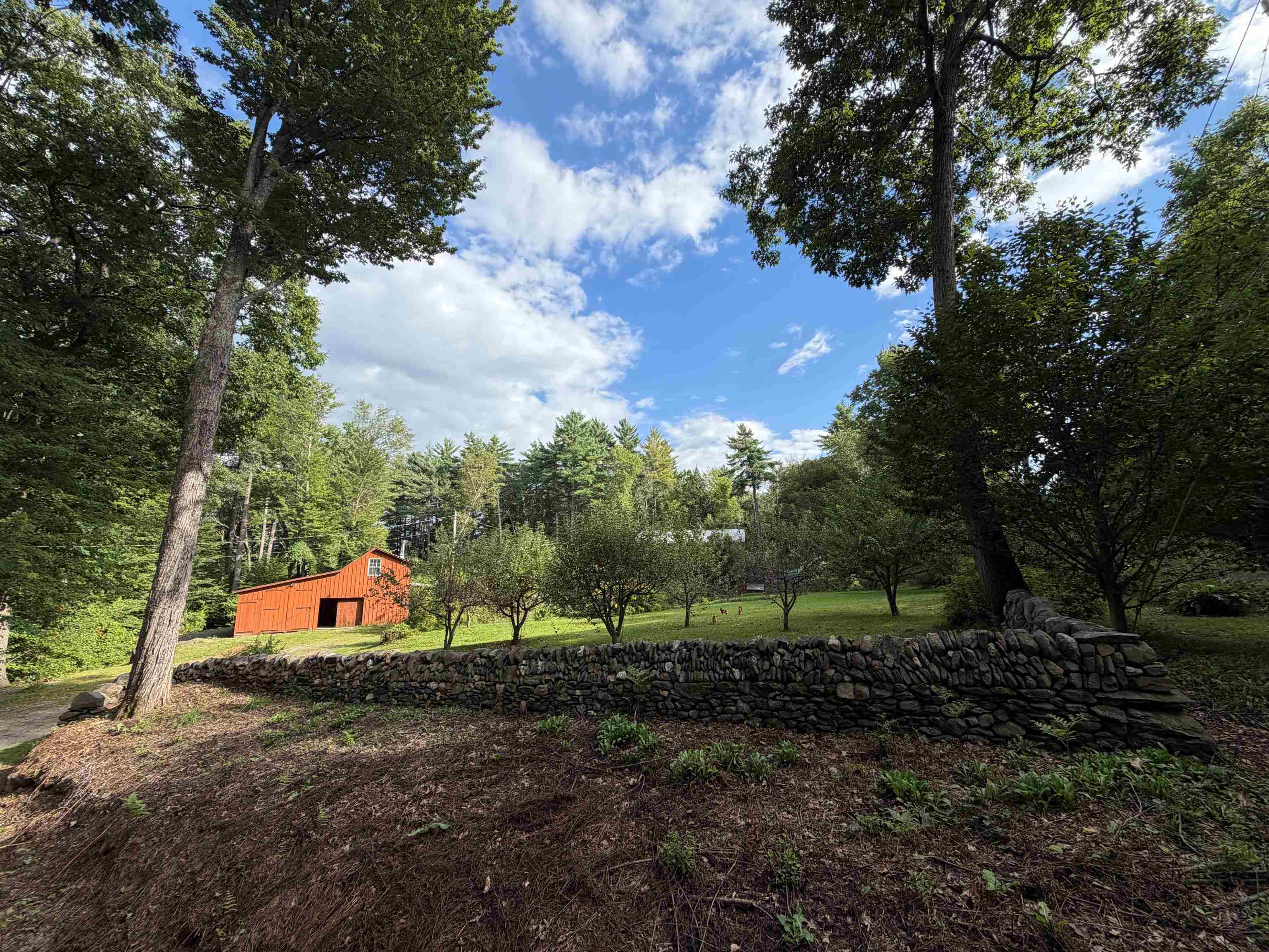 256 Trail Road Property Photo 53