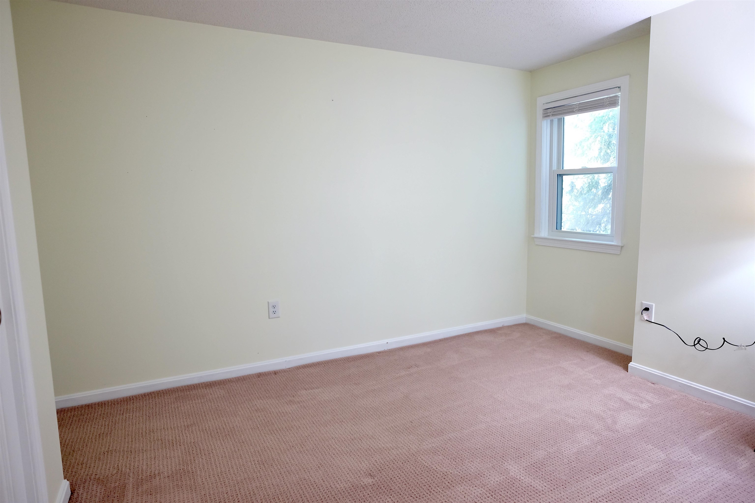 3 New Castle Street Property Photo 20