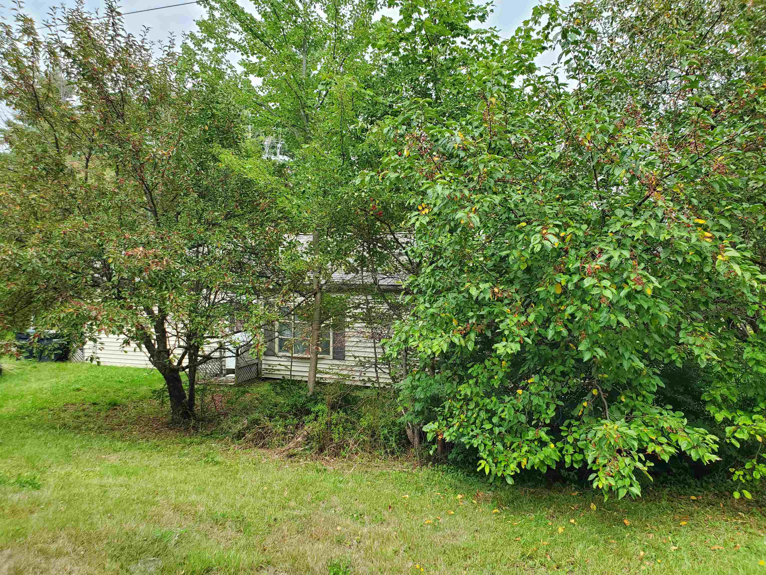 1525 New Hampshire Route 4a Property Photo 6