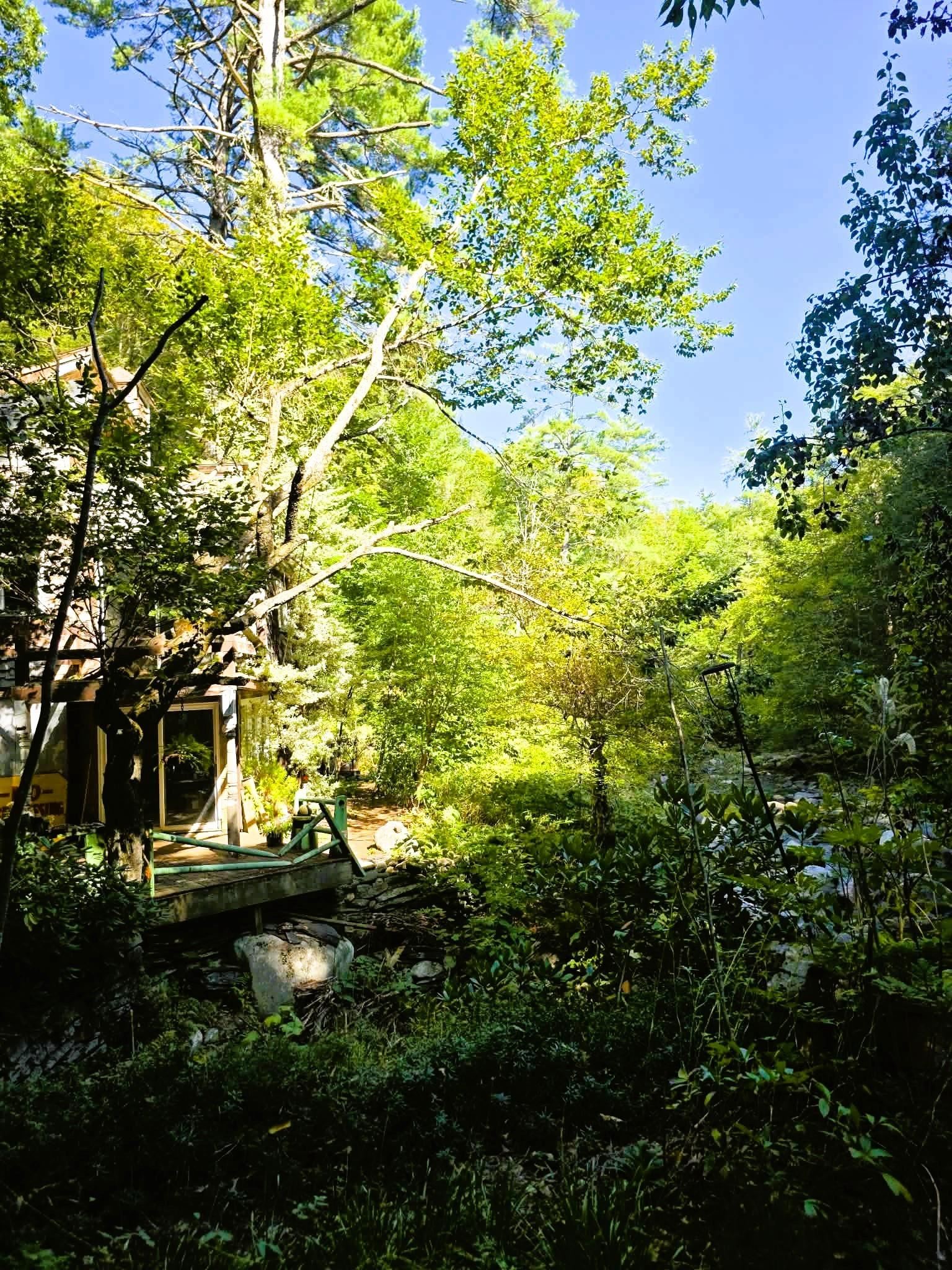 1107 Broad Brook Road Property Photo 13