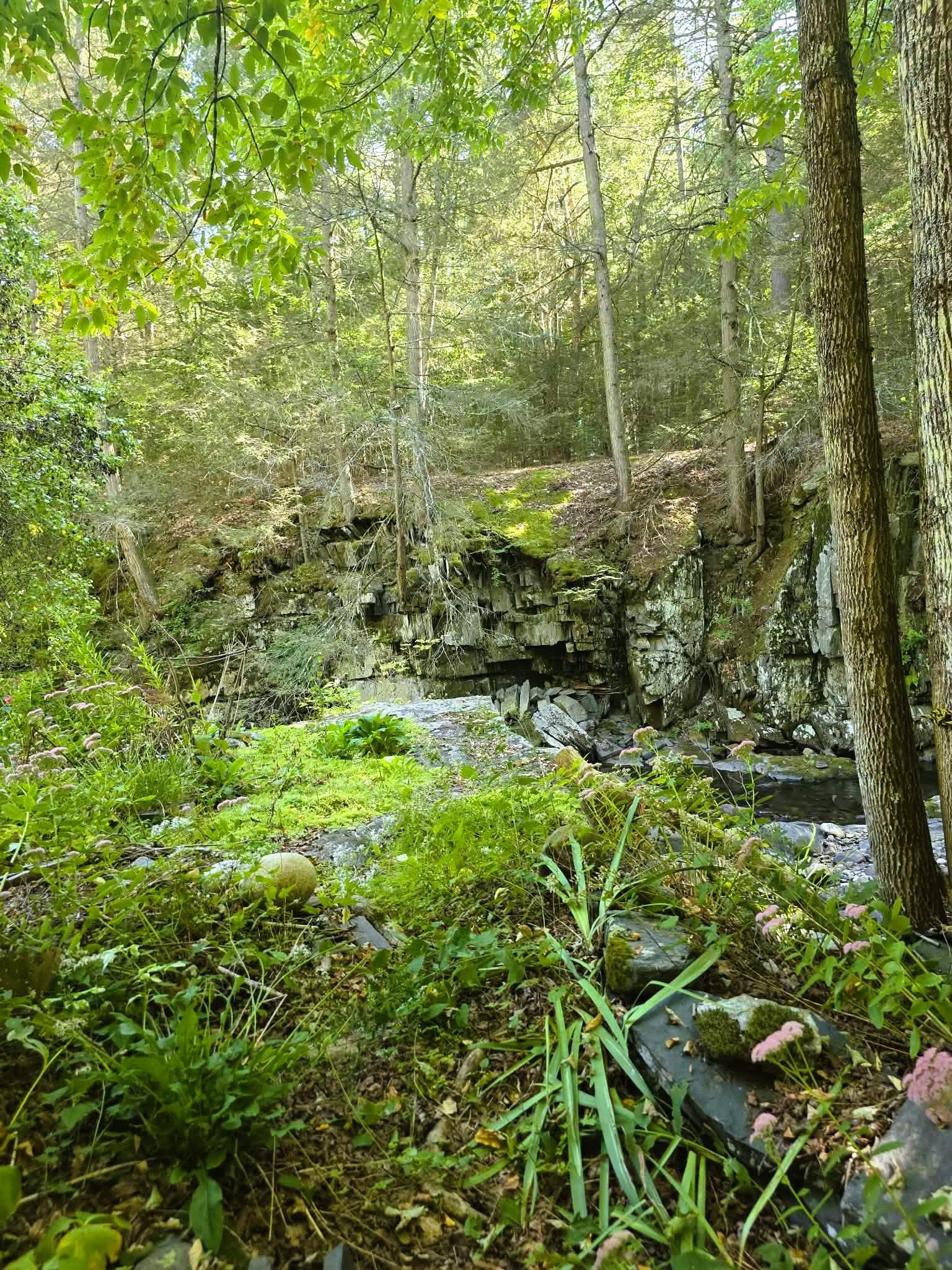 1107 Broad Brook Road Property Photo 20