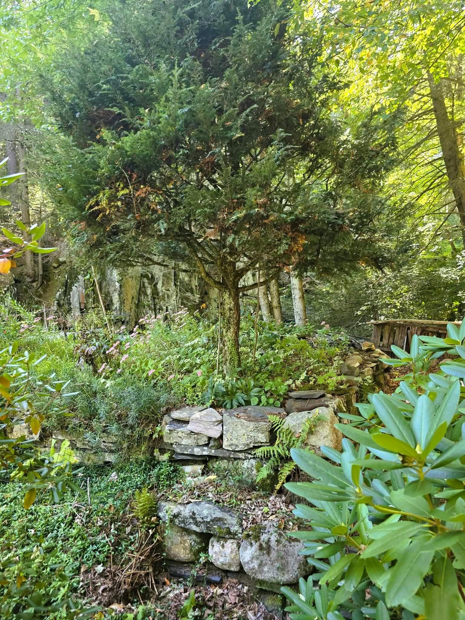 1107 Broad Brook Road Property Photo 22