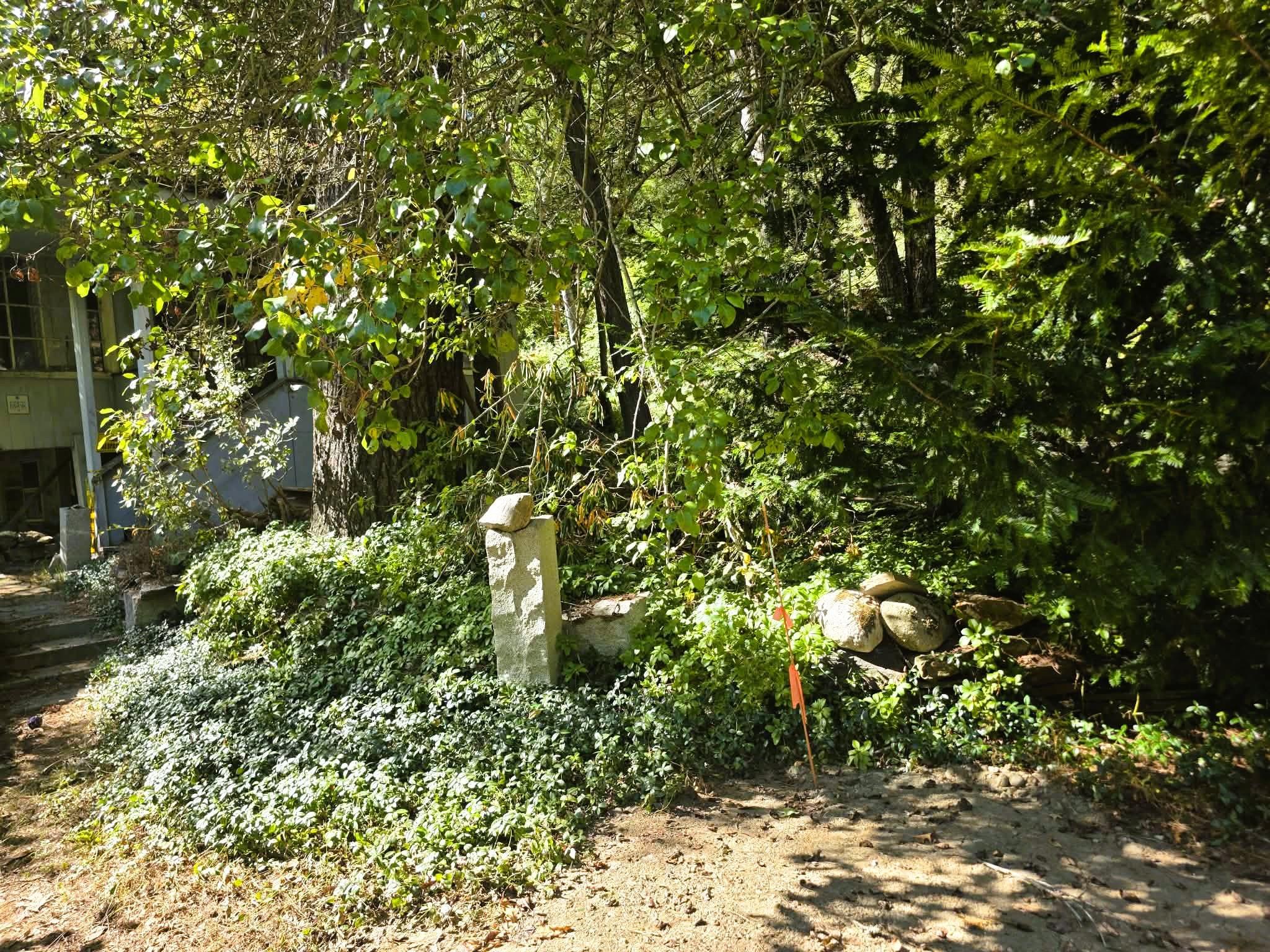 1107 Broad Brook Road Property Photo 24