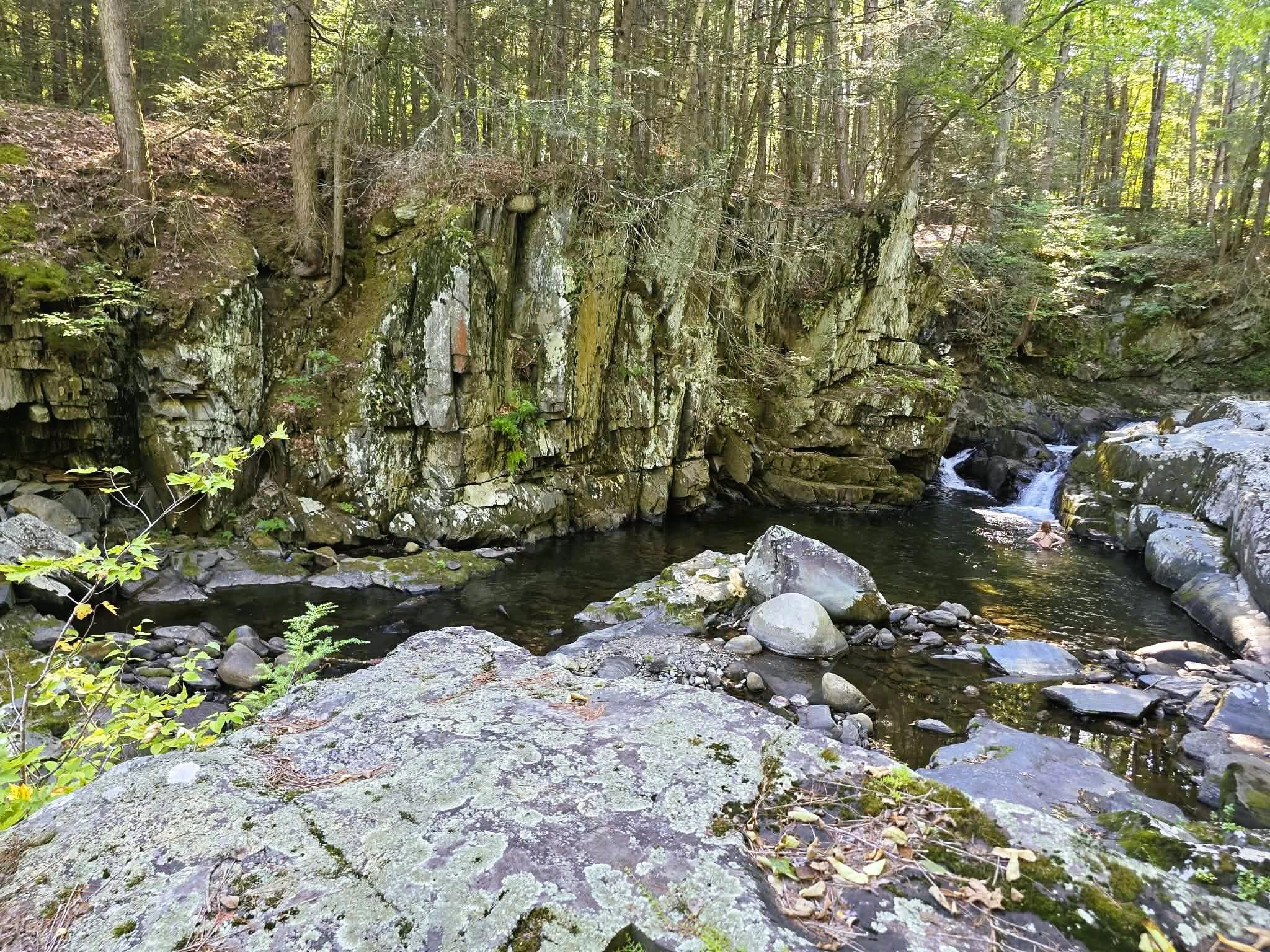 1107 Broad Brook Road Property Photo 35