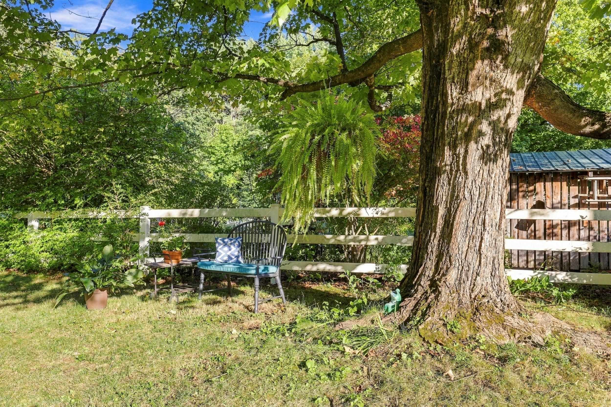 43 Birch Street Property Photo 5