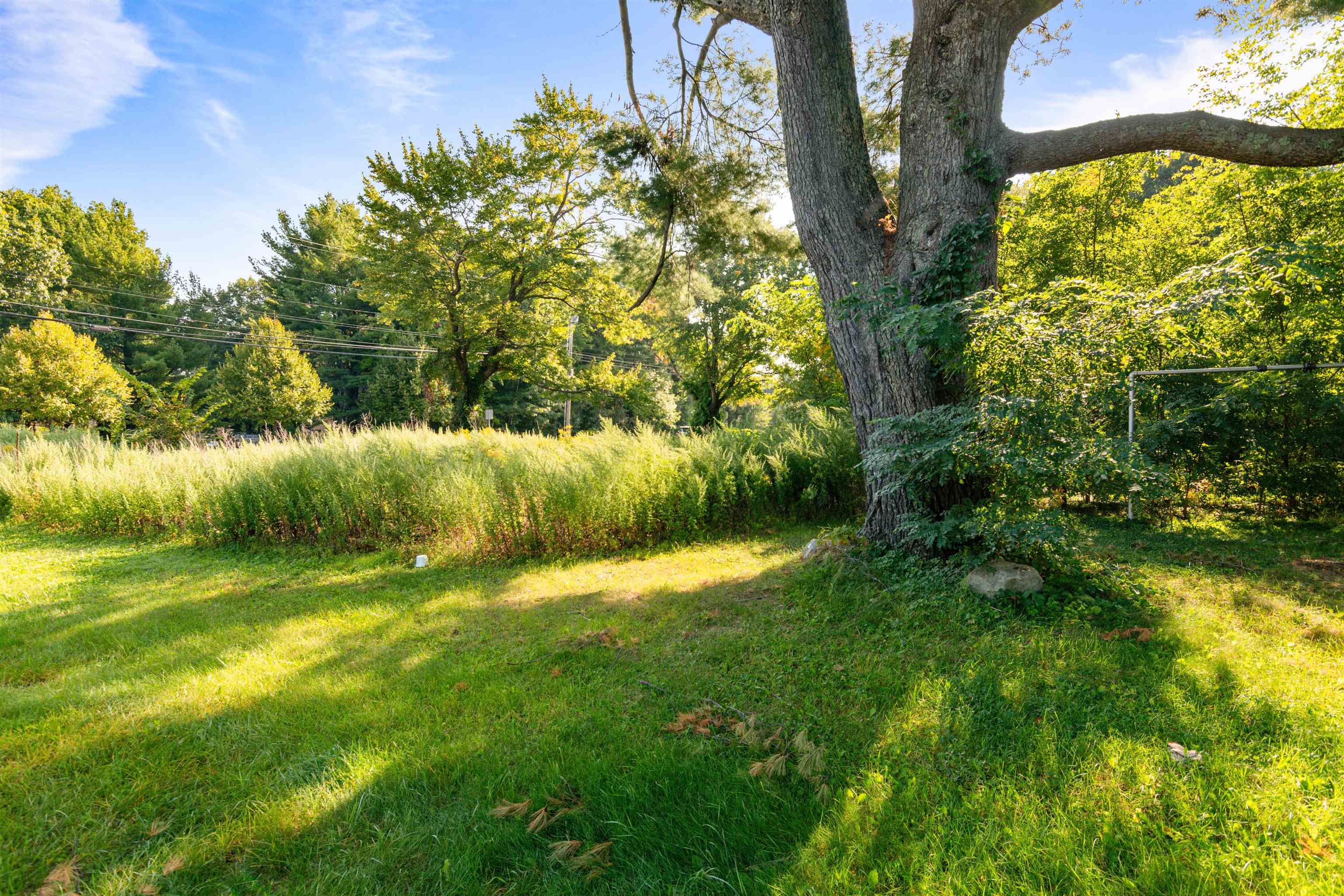 5124 Williston Road Property Photo 25