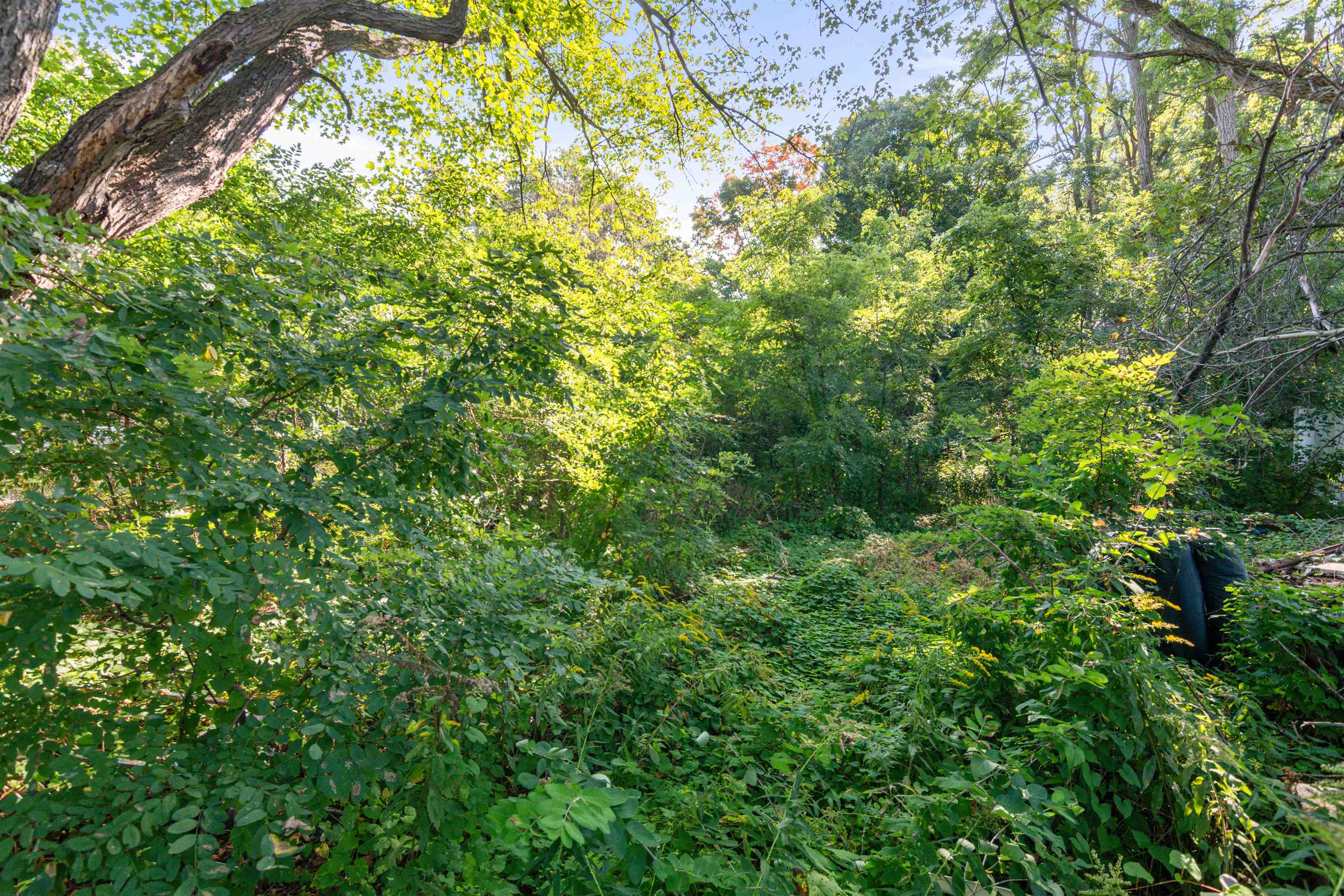 5124 Williston Road Property Photo 28