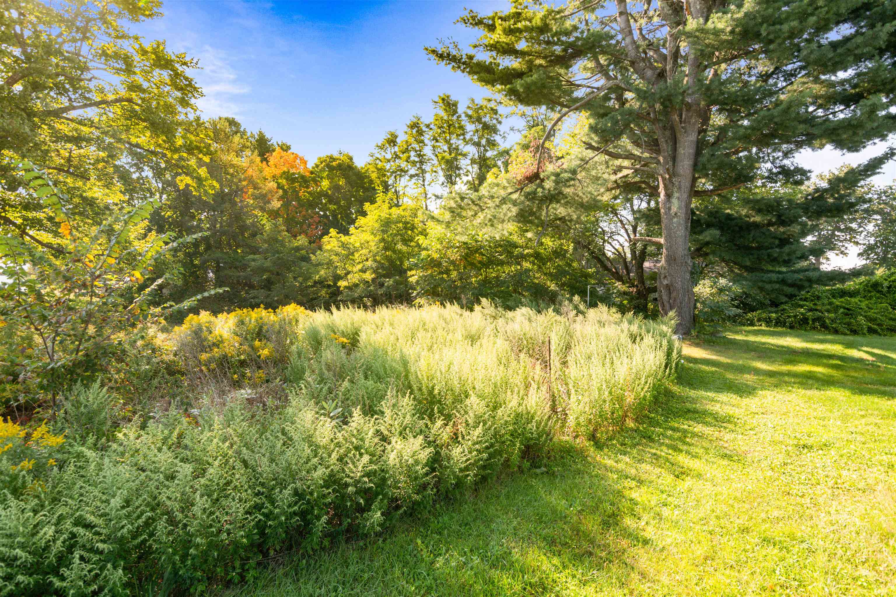 5124 Williston Road Property Photo 31