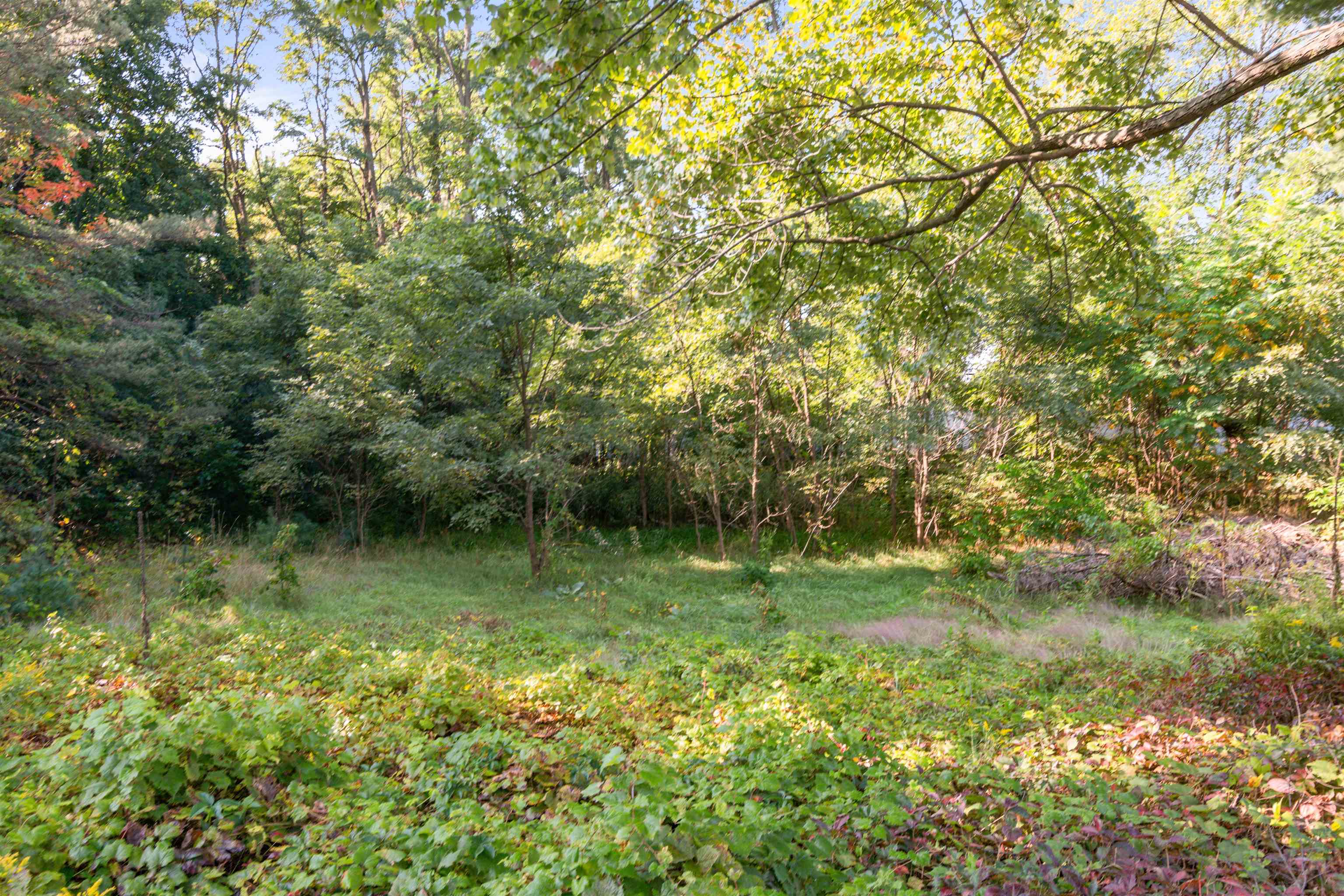 5124 Williston Road Property Photo 32