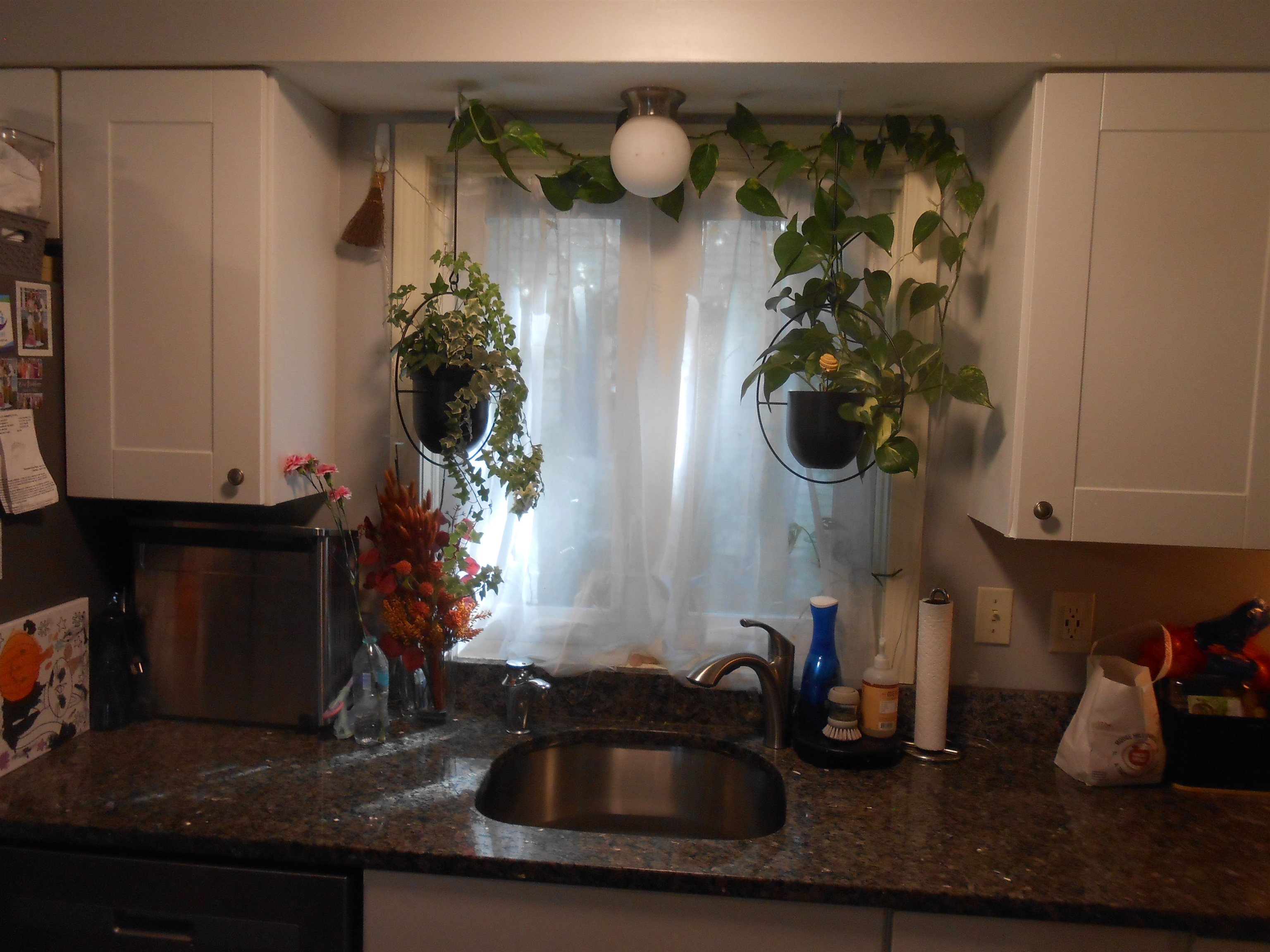 336 Lovering Street Property Photo 8