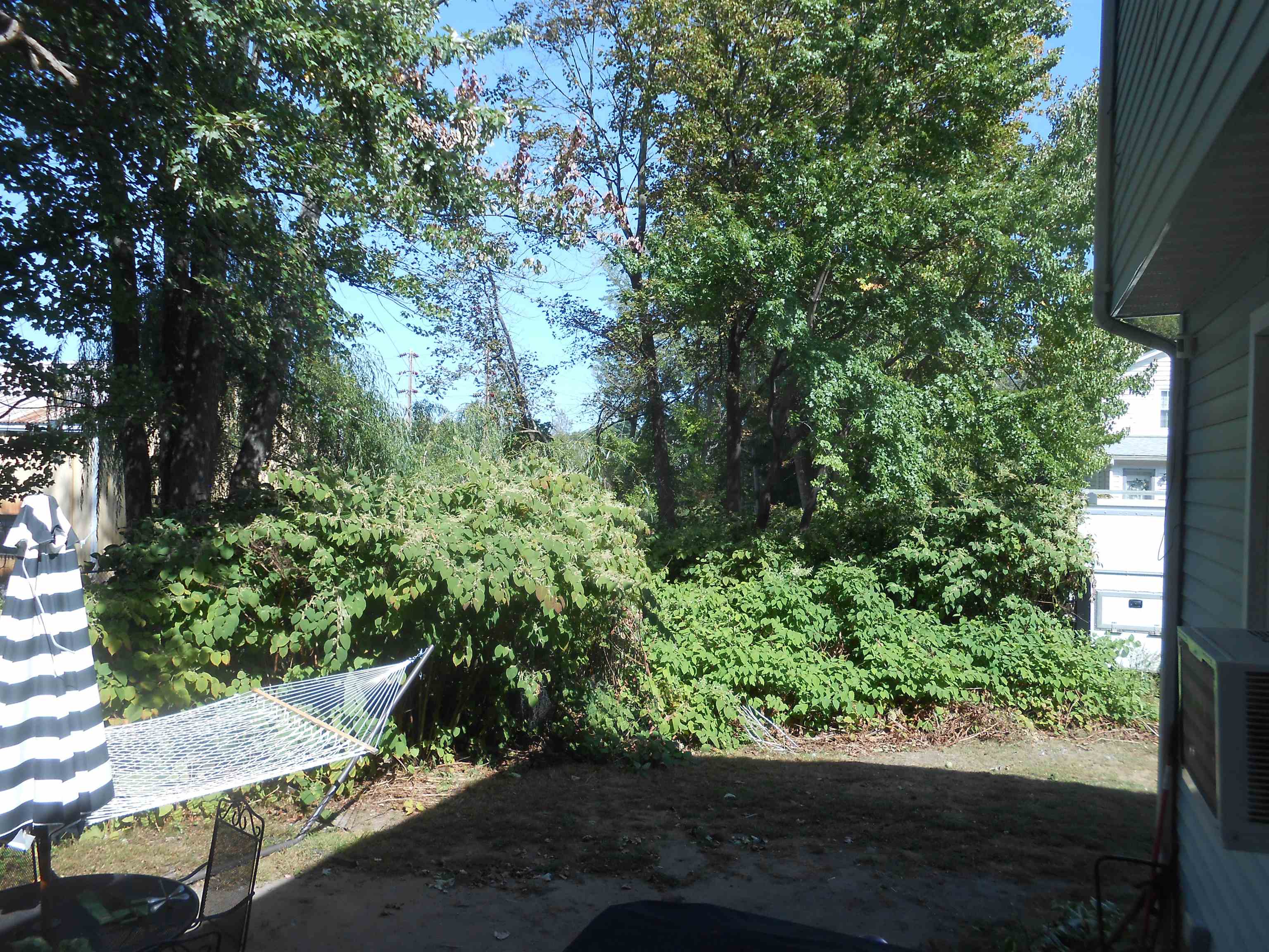 336 Lovering Street Property Photo 15