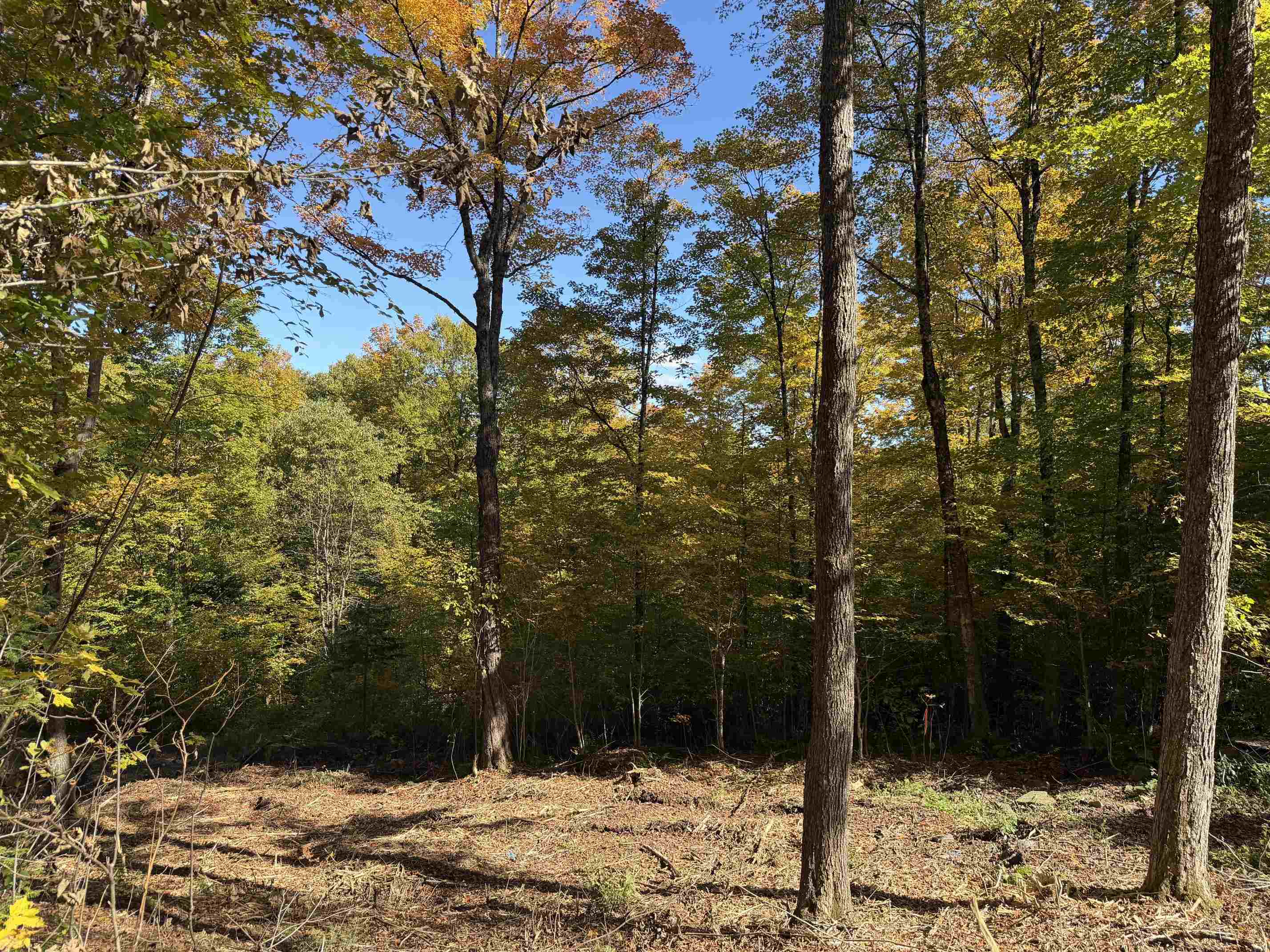 Lot 8 Wood Yard Crossing Property Photo 1