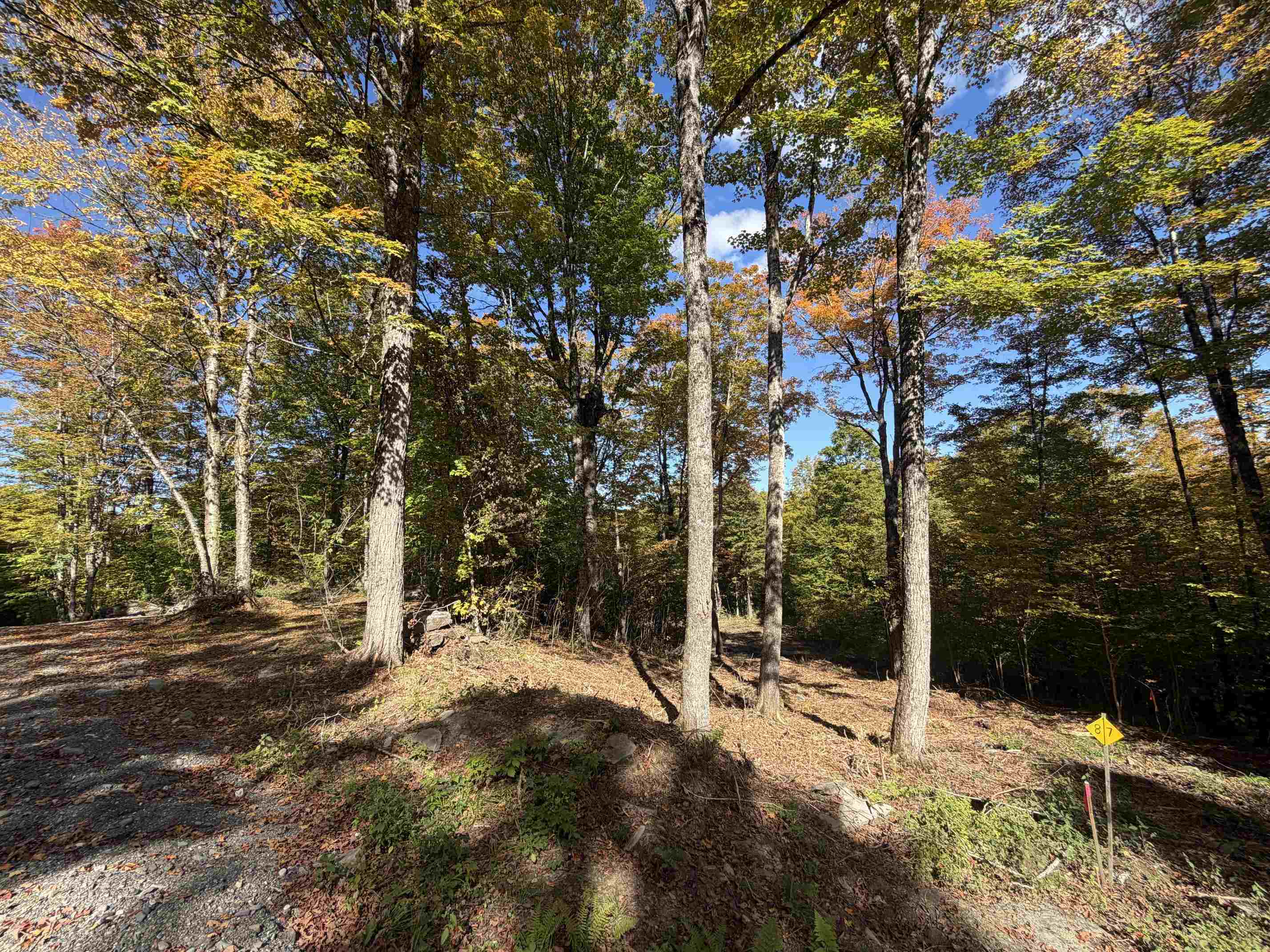 Lot 8 Wood Yard Crossing Property Photo 14