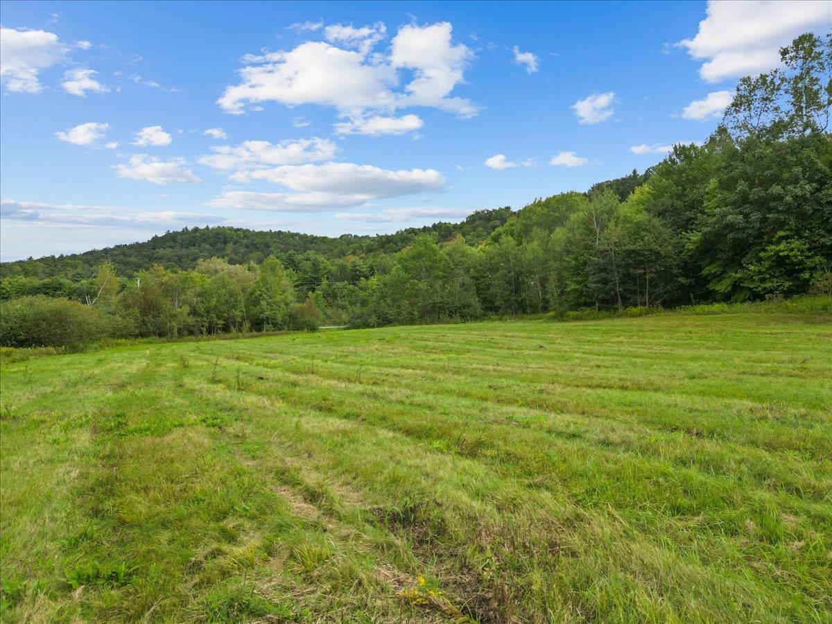 384 Woodward Road Property Photo 3