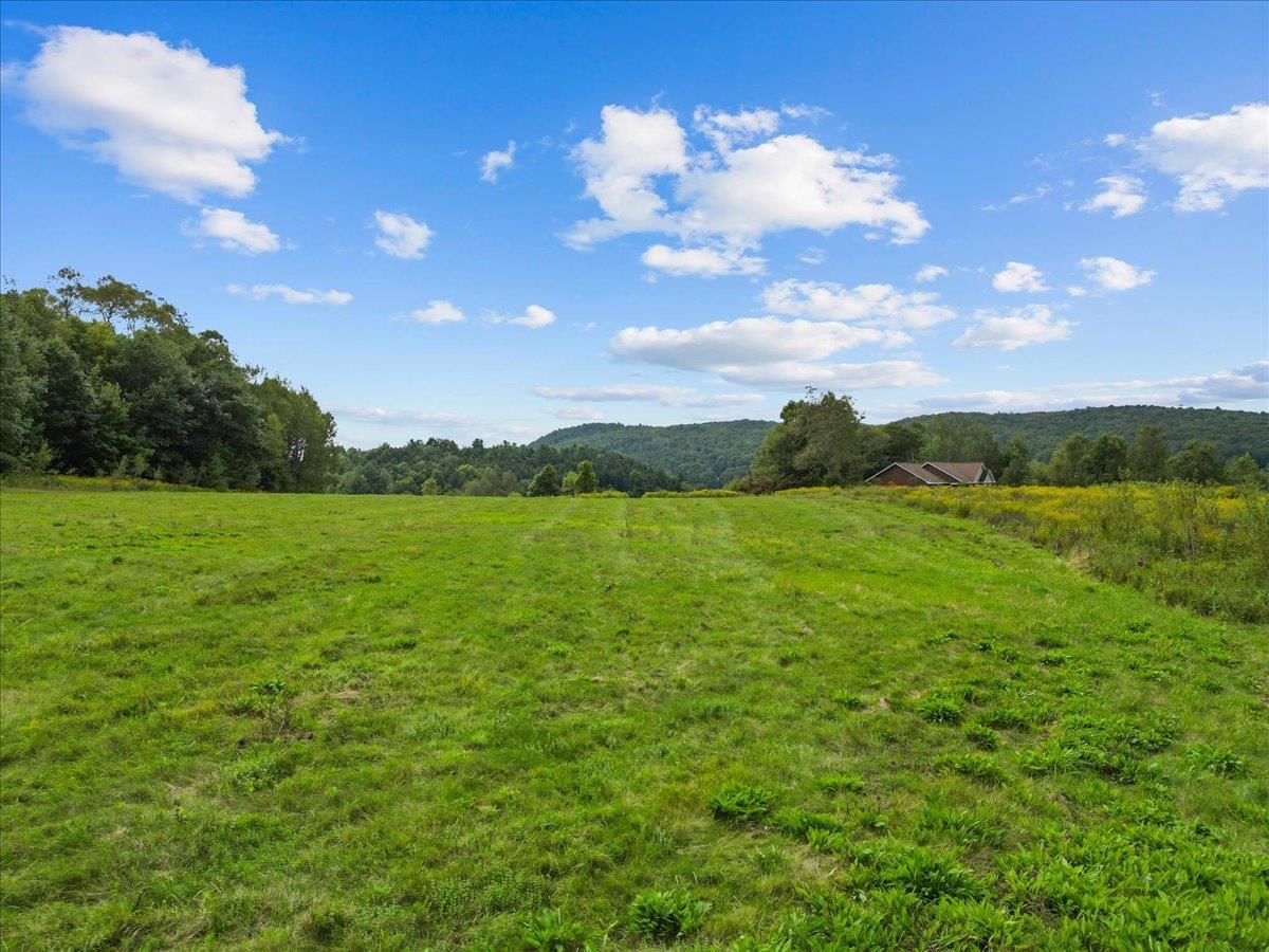 384 Woodward Road Property Photo 10