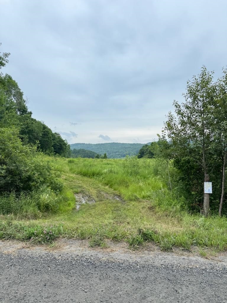 384 Woodward Road Property Photo 20