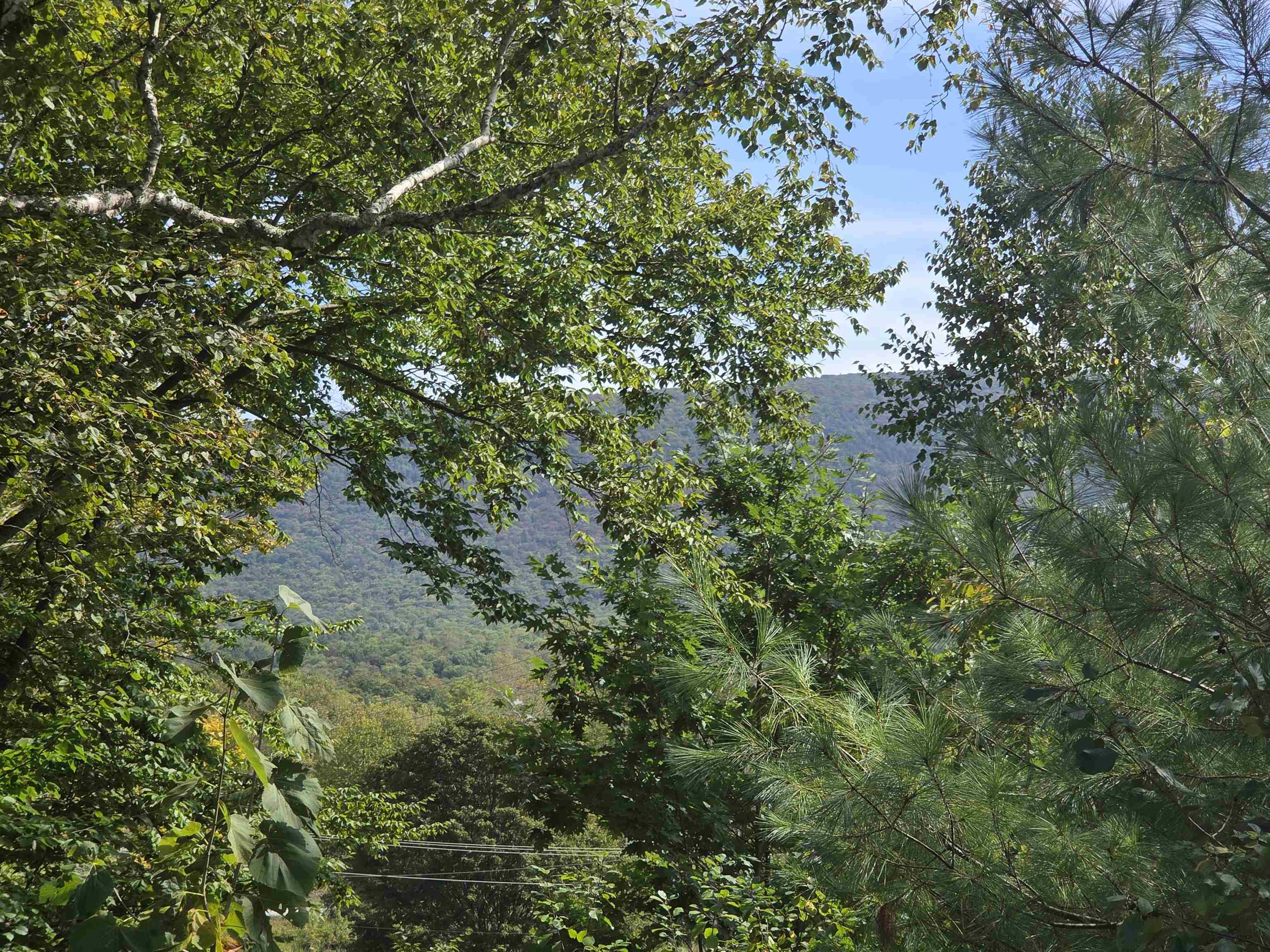 46 Equinox On The Battenkill Road Property Photo 24