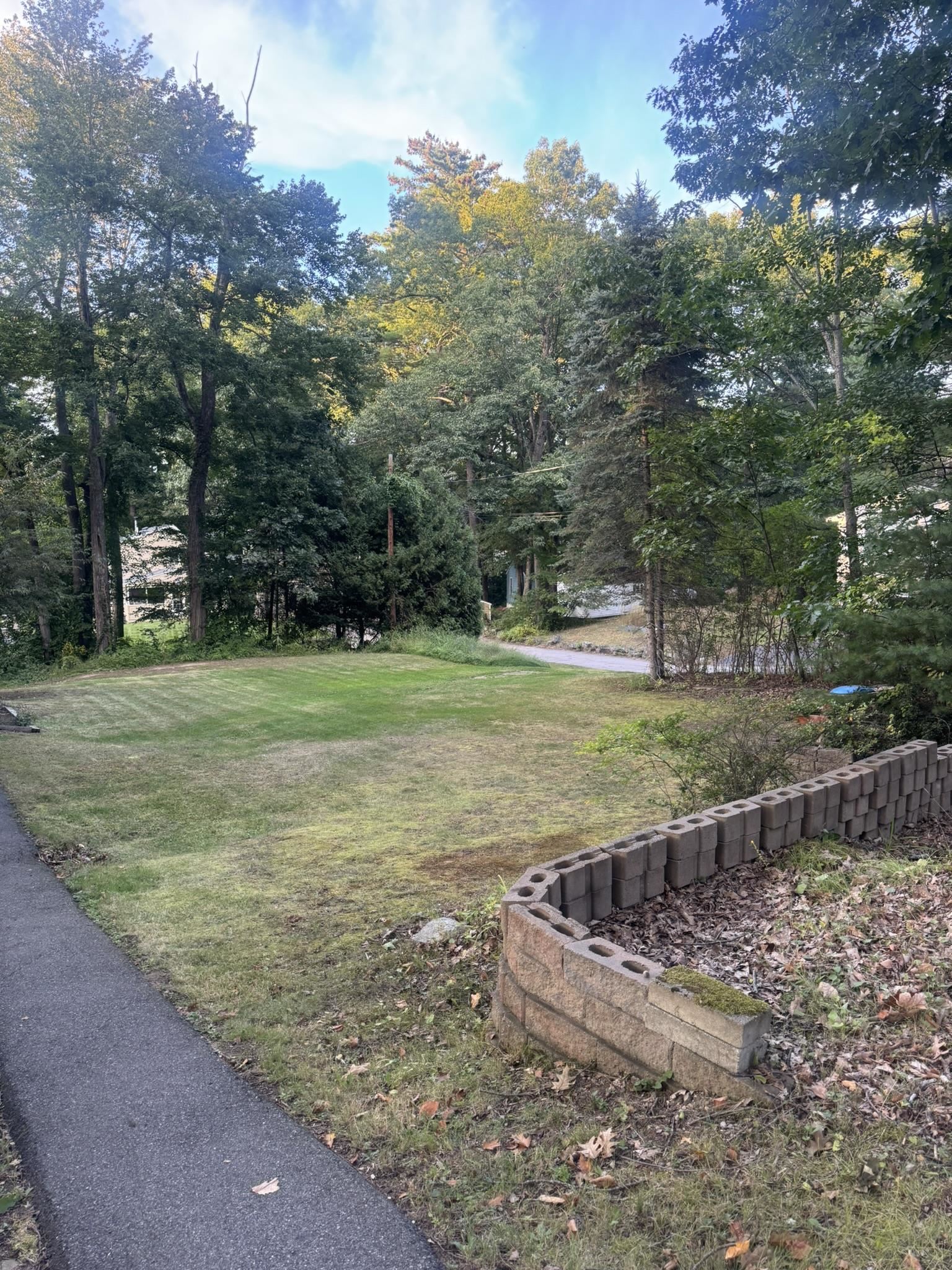 6 Chase Street Property Photo 7