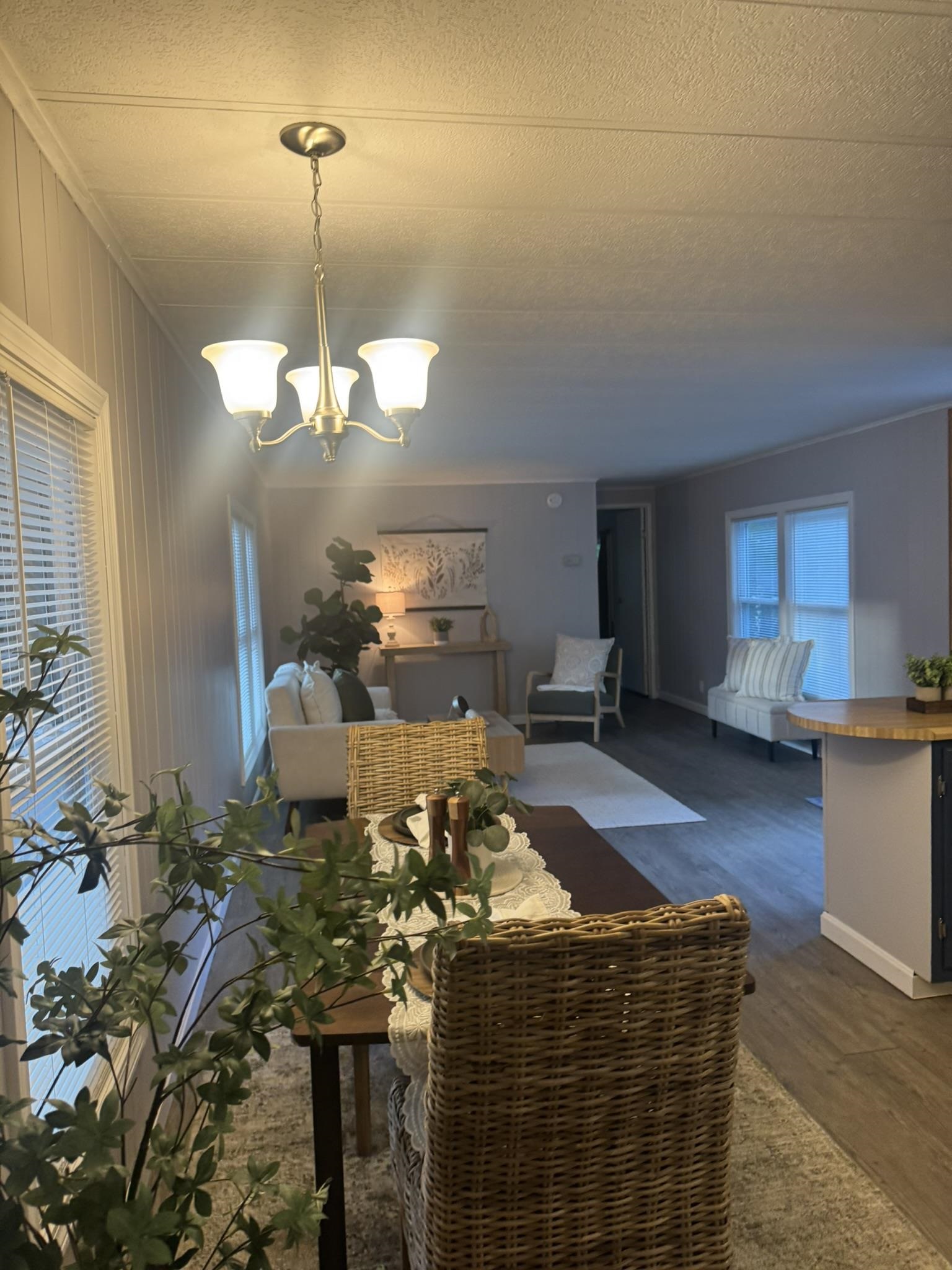 6 Chase Street Property Photo 17